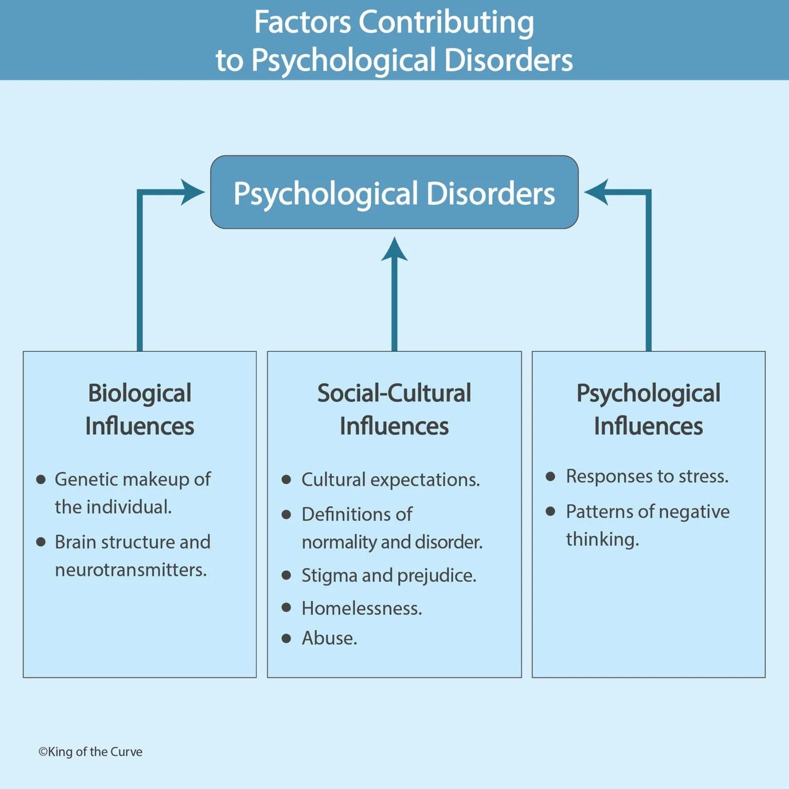 🧠 Factors Contributing to Psychological Disorders