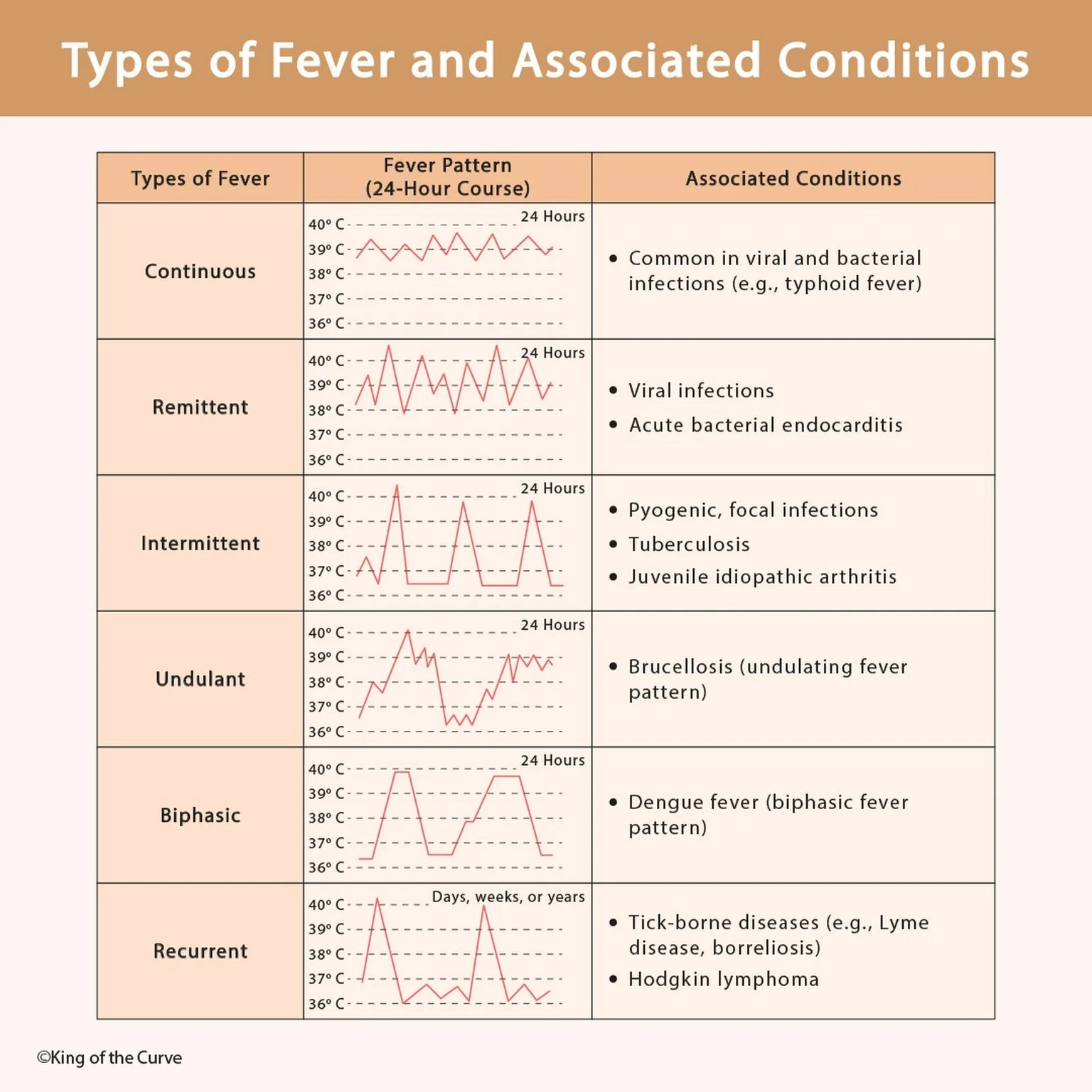 🌡️ Types of Fever and Associated Conditions