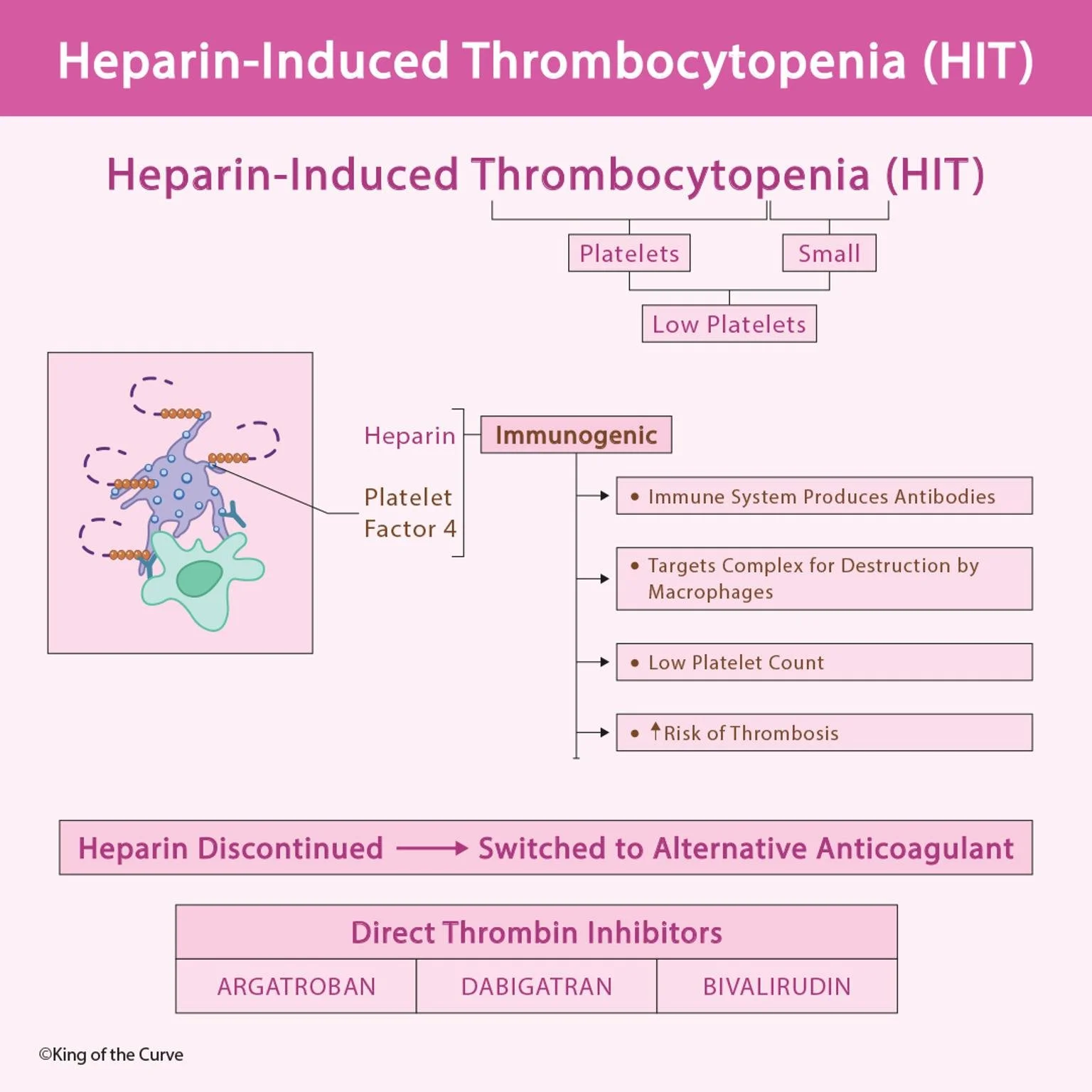 🩸 Heparin-Induced Thrombocytopenia (HIT): Mechanism, Risks & Management