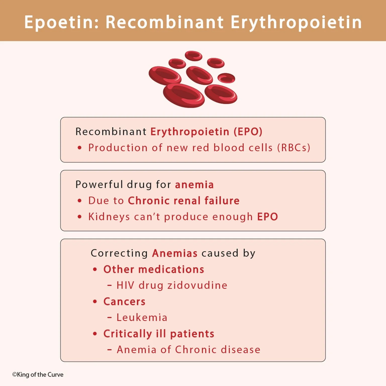 🩸 Epoetin: Recombinant Erythropoietin (EPO)