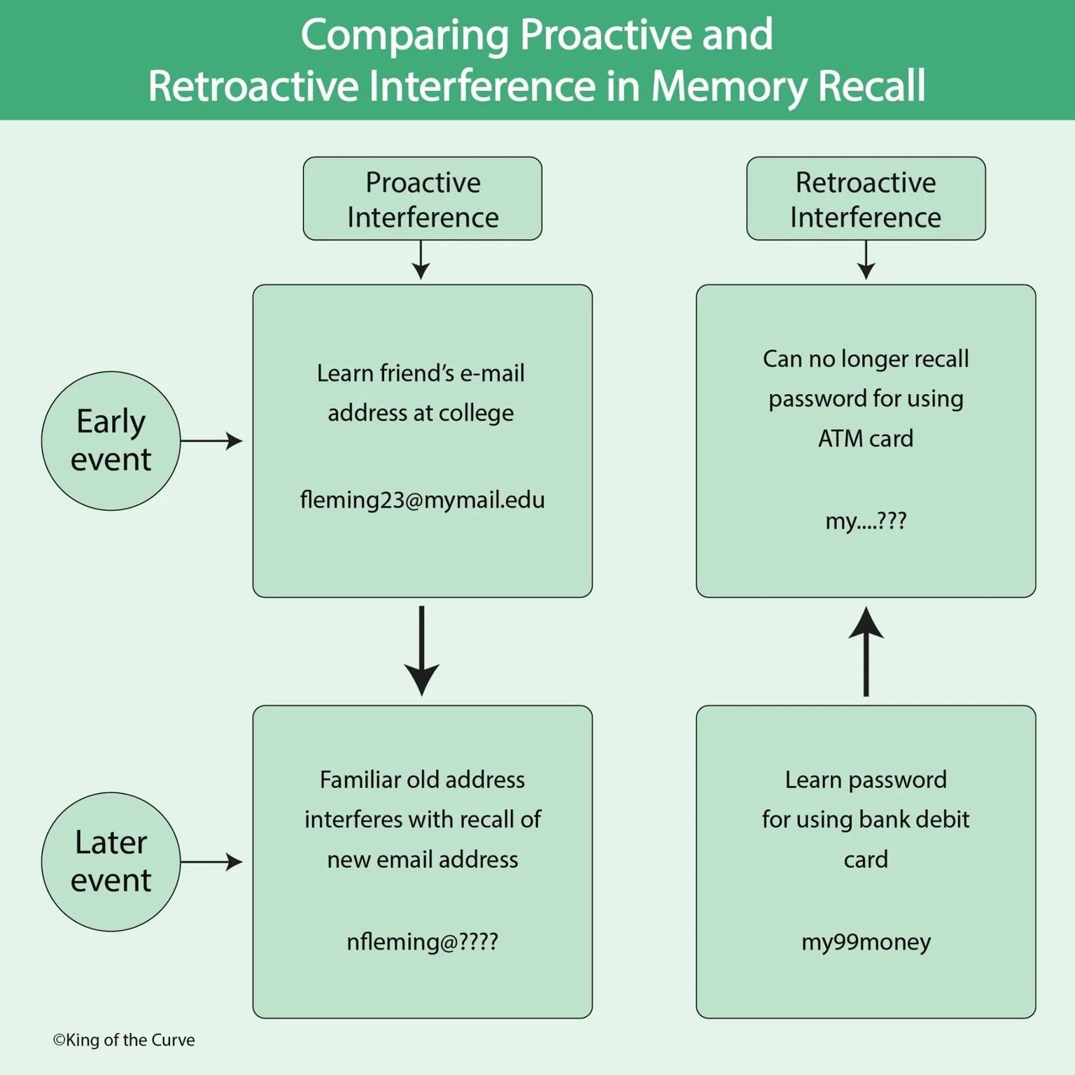 🧠 Comparing Proactive and Retroactive Interference in Memory Recall