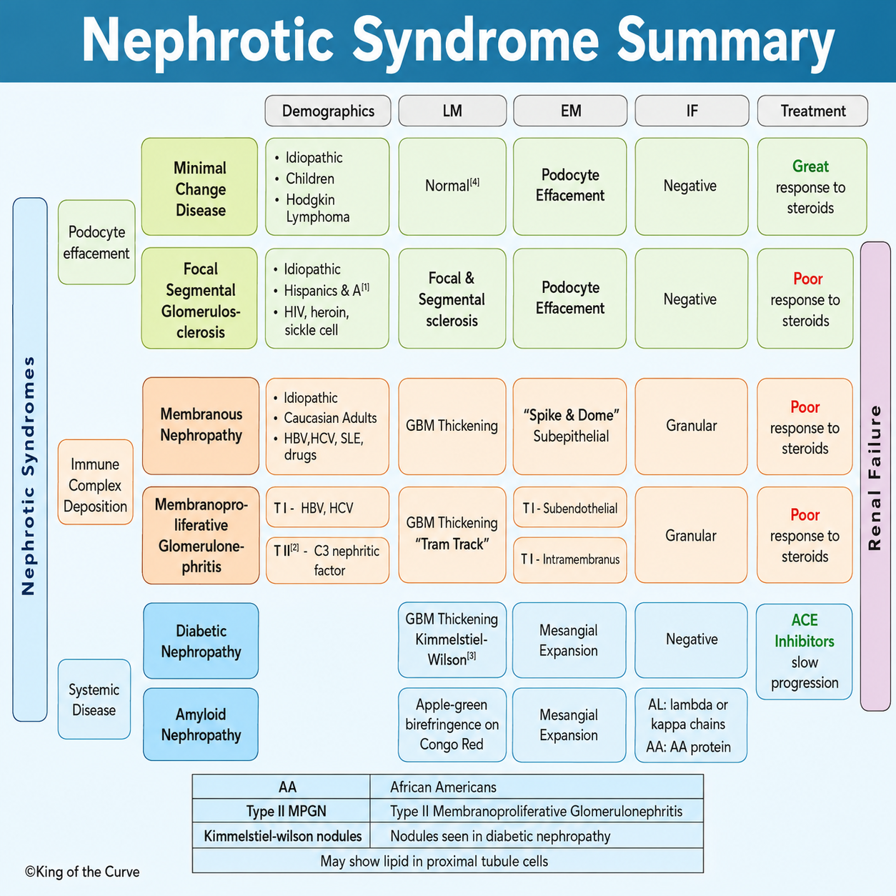 🩺 Nephrotic Syndrome Summary: Causes, Pathology, Diagnosis, and Treatment