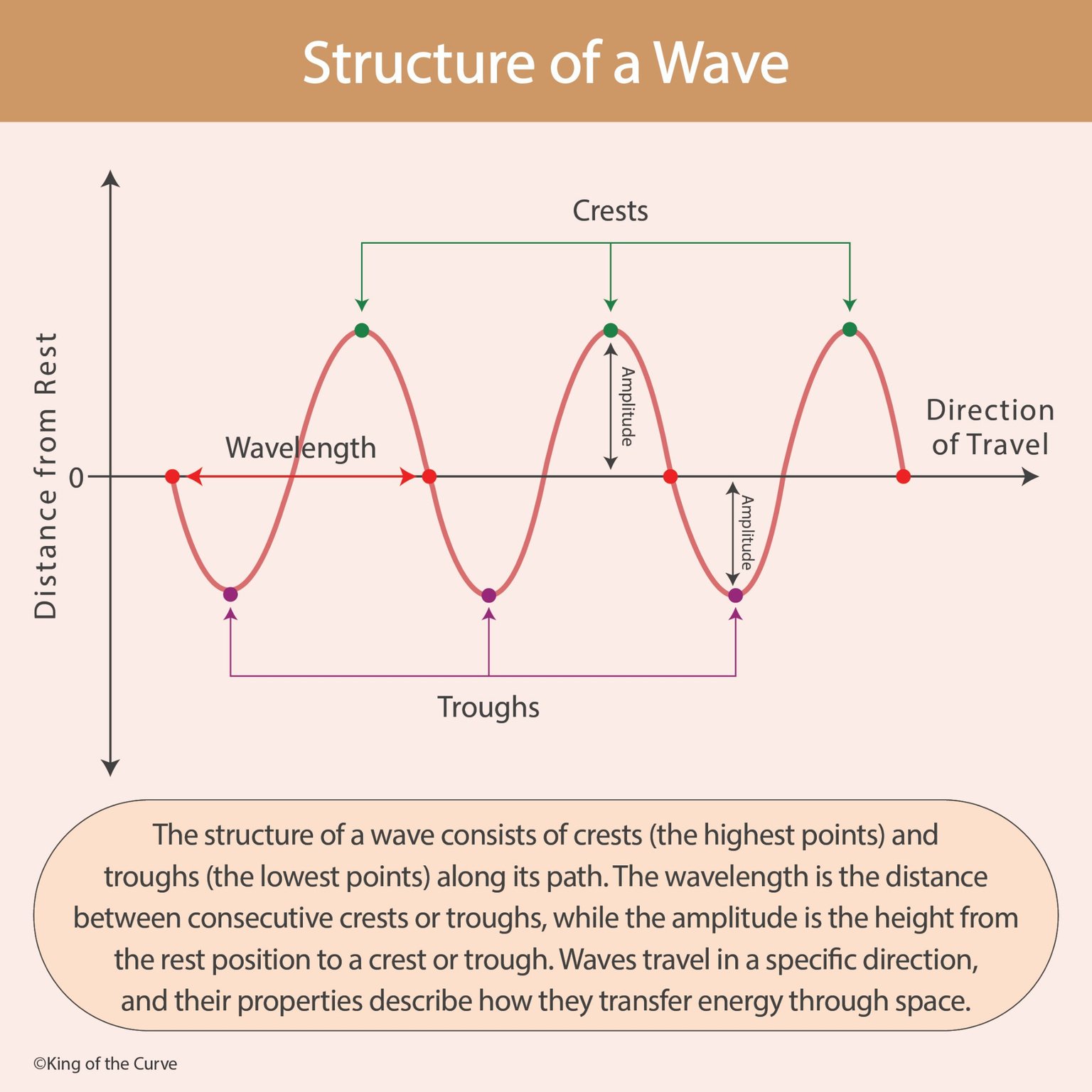 🌊 Structure of a Wave: Wavelength, Amplitude, Crests, and Troughs
