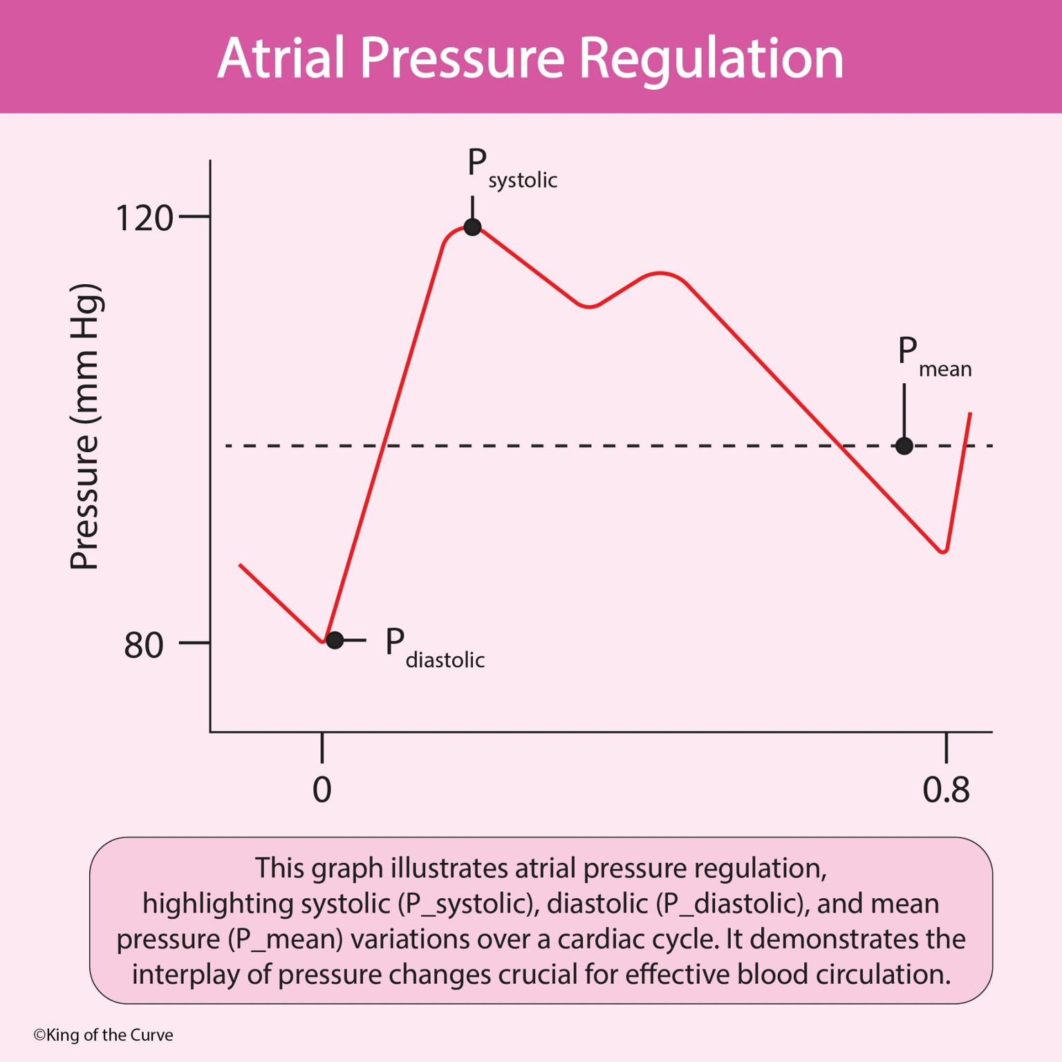 ❤️ Atrial Pressure Regulation: Understanding Systolic, Diastolic, and Mean Pressure