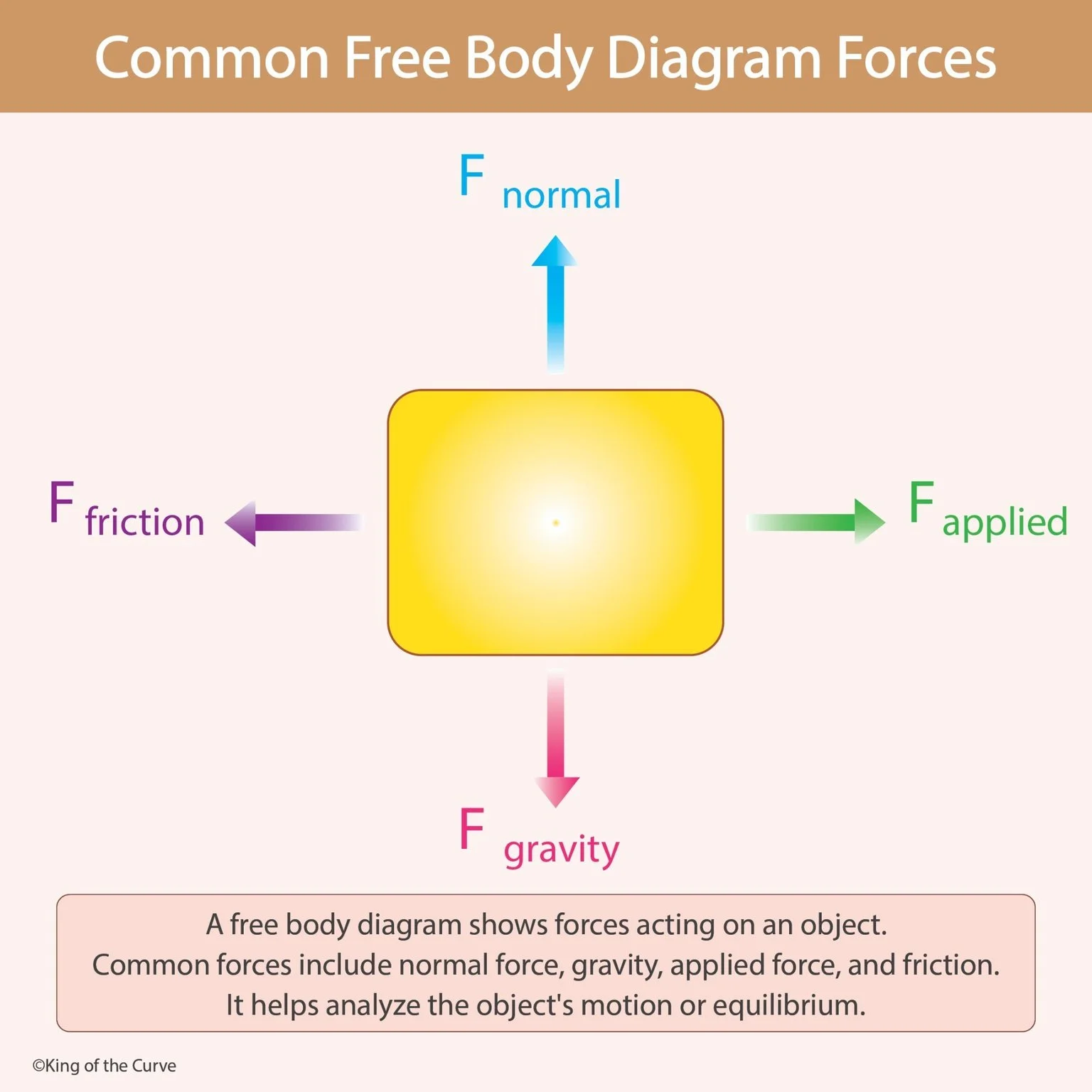 🧲 Common Free Body Diagram Forces Explained