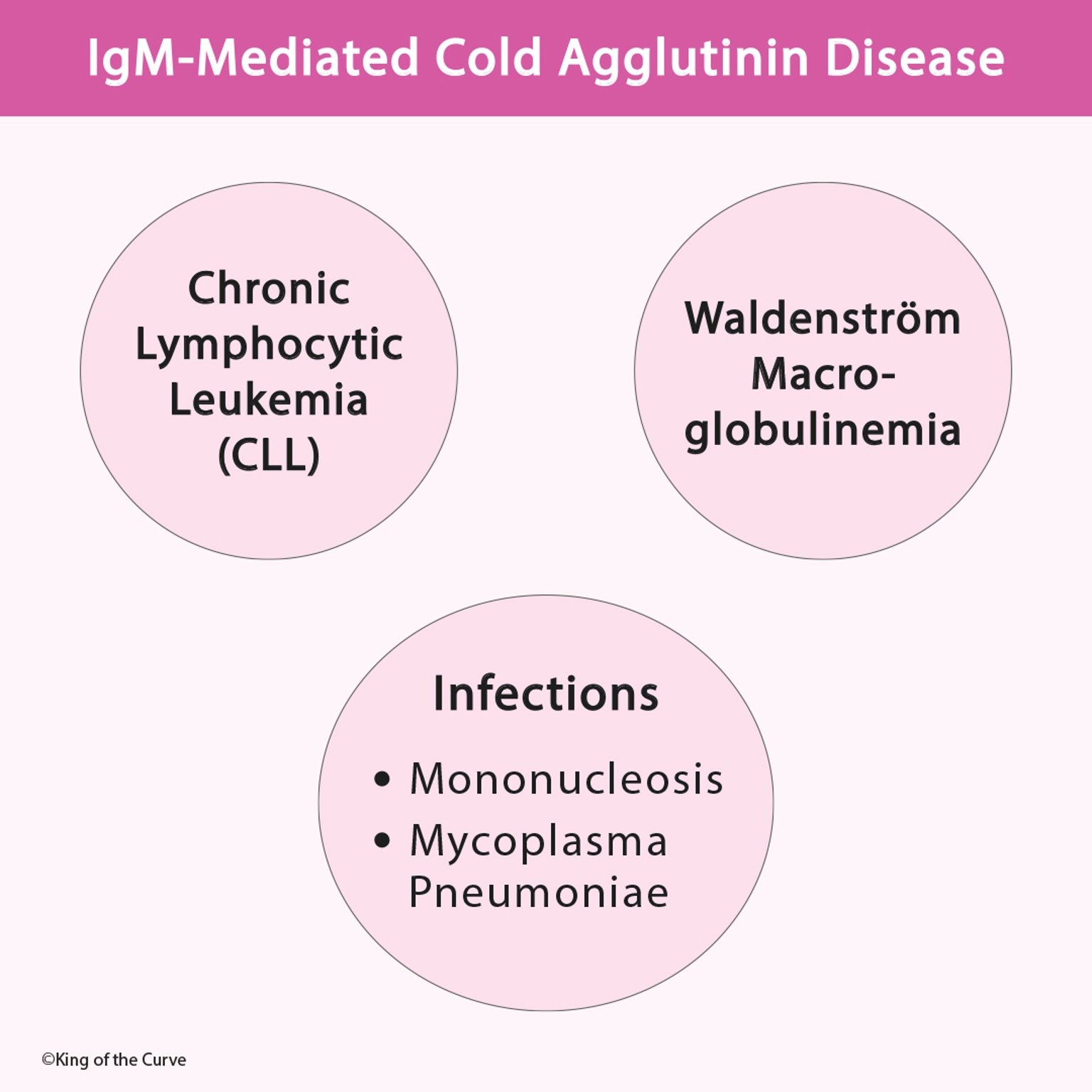 🩸 IgM-Mediated Cold Agglutinin Disease: Causes, Mechanism, and ...