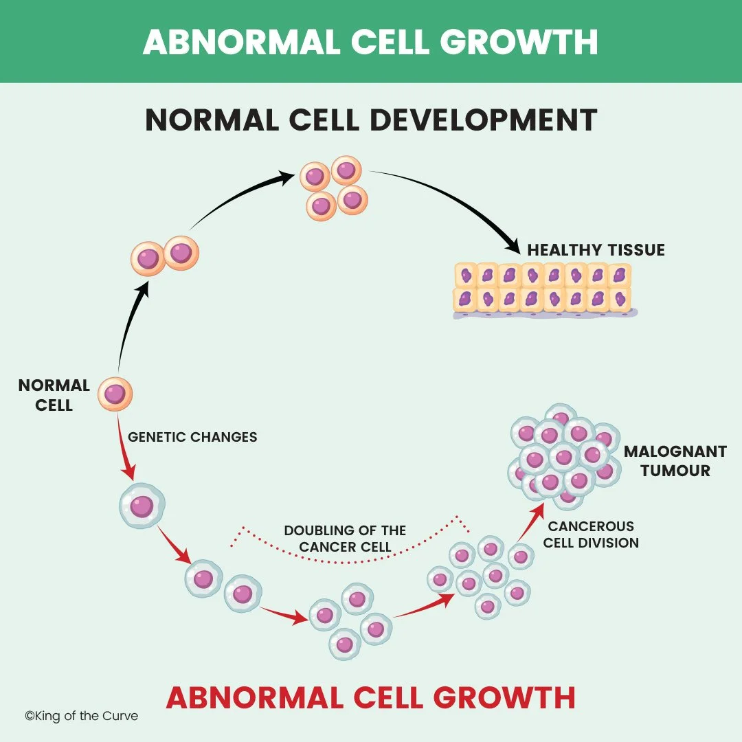 Normal Cell First Evulation Abnormal Cell Growth: Understanding Cancer Development for the MCAT ...