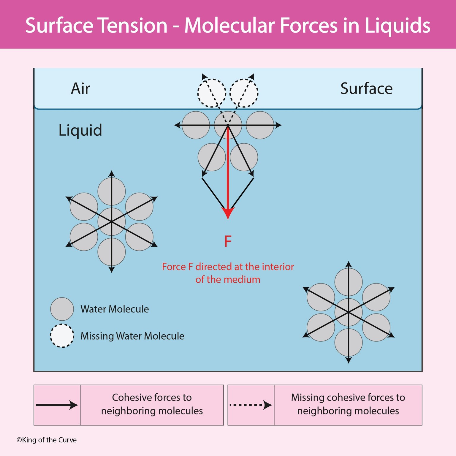💧 Surface Tension: Molecular Forces in Liquids
