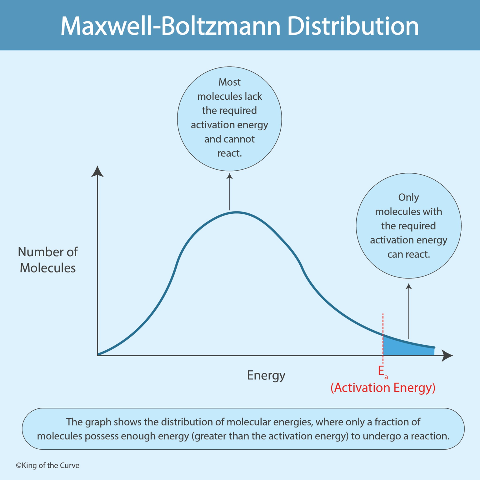🧪 Maxwell–Boltzmann Distribution: Understanding Molecular Energy in Chemical Reactions