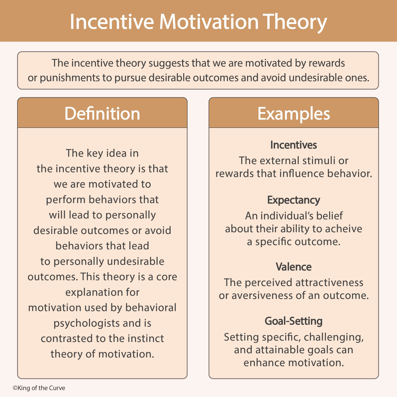 🧠 Incentive Motivation Theory: Understanding What Drives Human Behavior ...