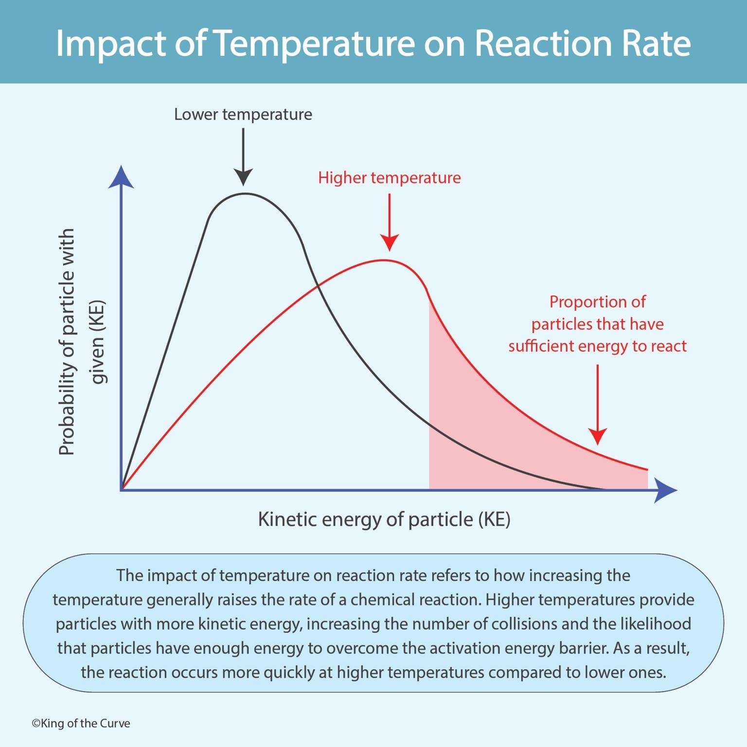 🌡️ Impact of Temperature on Reaction Rate