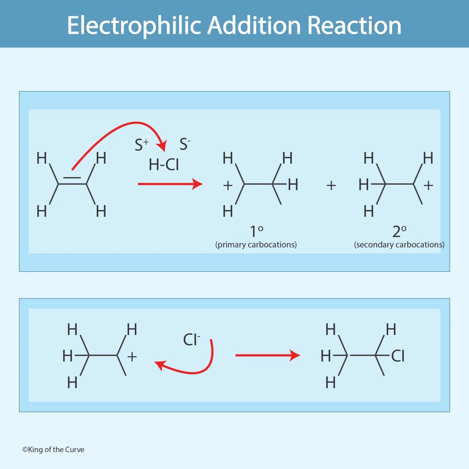⚡ Electrophilic Addition Reactions Explained