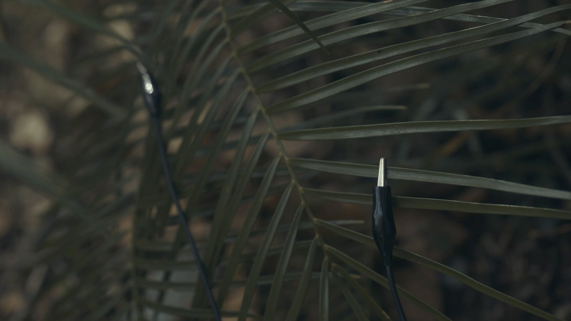 Jamie Video stills7.jpg