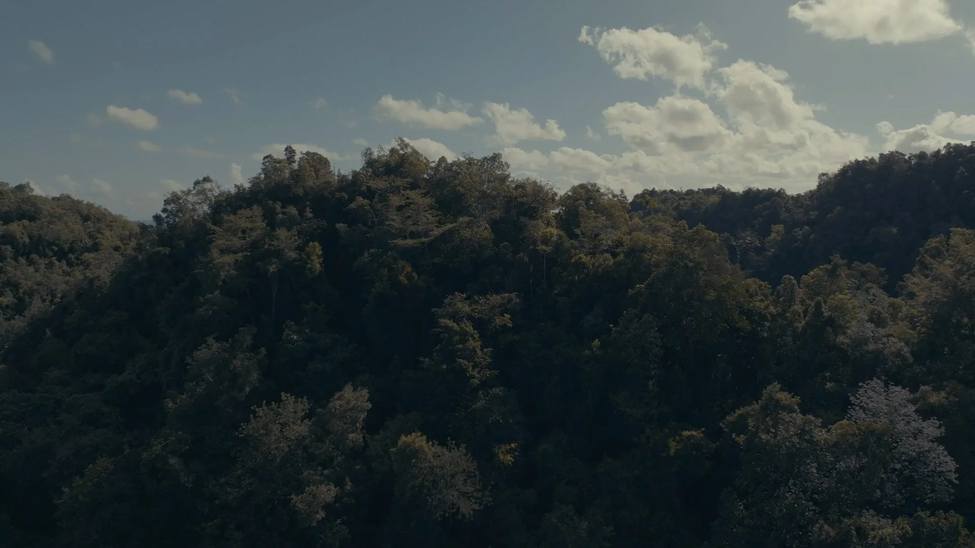 Jamie Video stills8.jpg