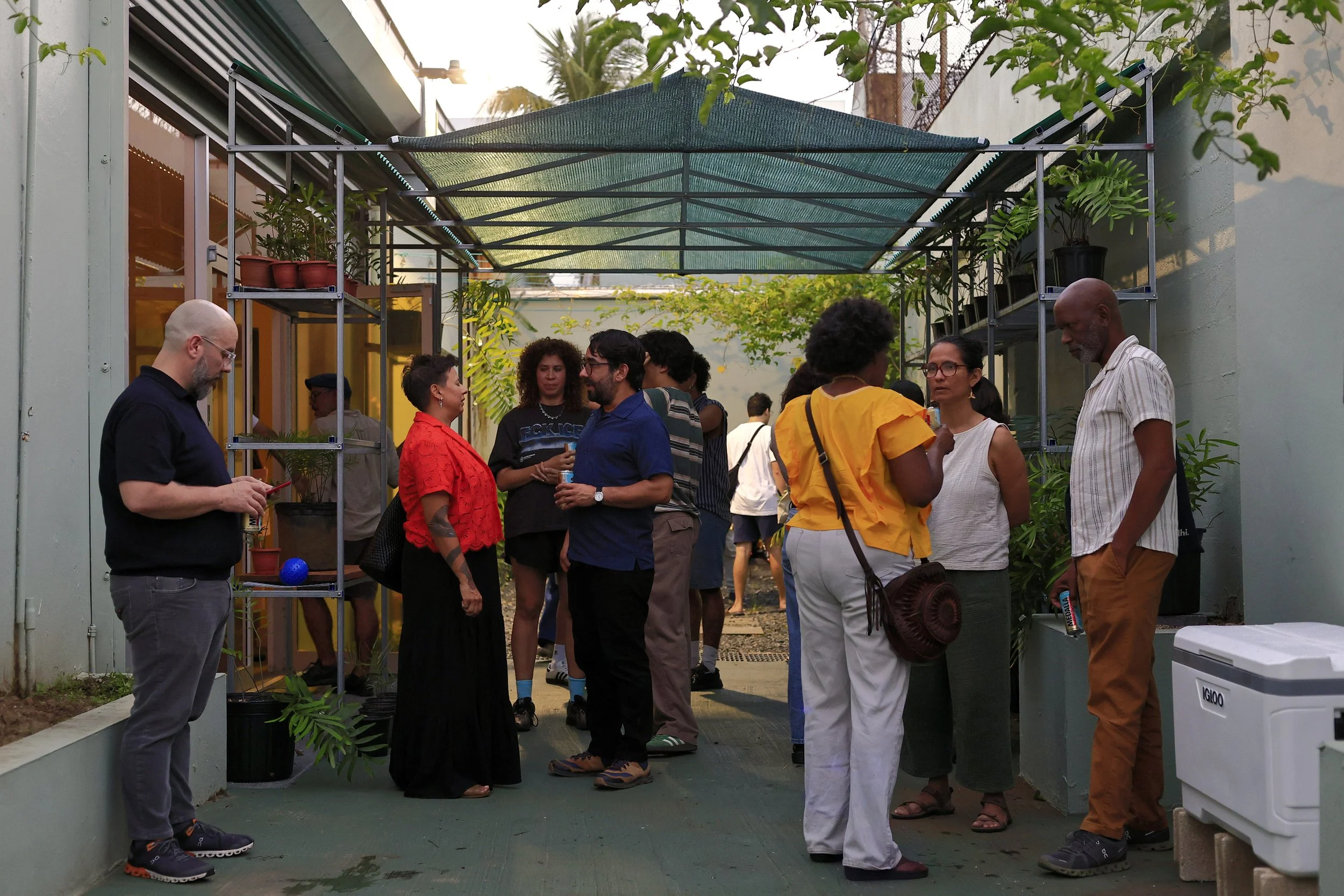 Apertura Marunguey55.JPG