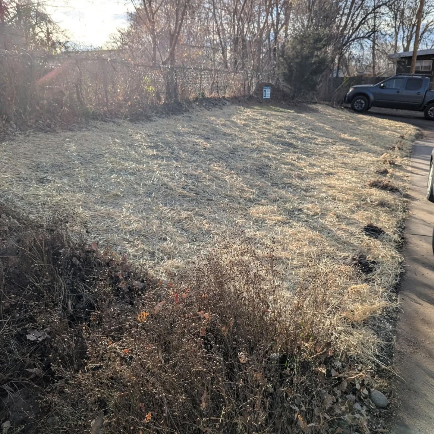 With snow finally on the way, we did our Fall seeding, which included expanding this meadow to replace the remaining non-functional turf. 

Steps for broadcast seeding native species:
(Following the method recommended by Western Native Seed)
1. Mix s