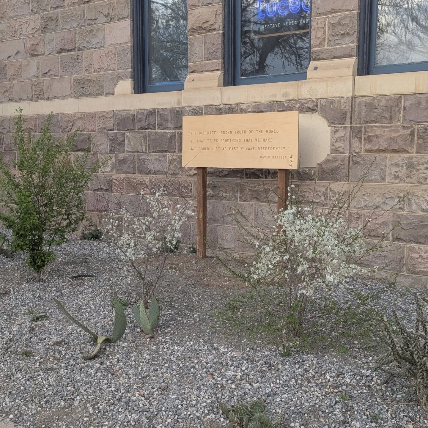 Hello again to everyone doing native plant landscaping and gardening!  It's been a warm, dry year so far here on the Front Range.

Thicket-forming shrubs and trees have long been shunned by the horticulture industry, which often attempted to breed ou