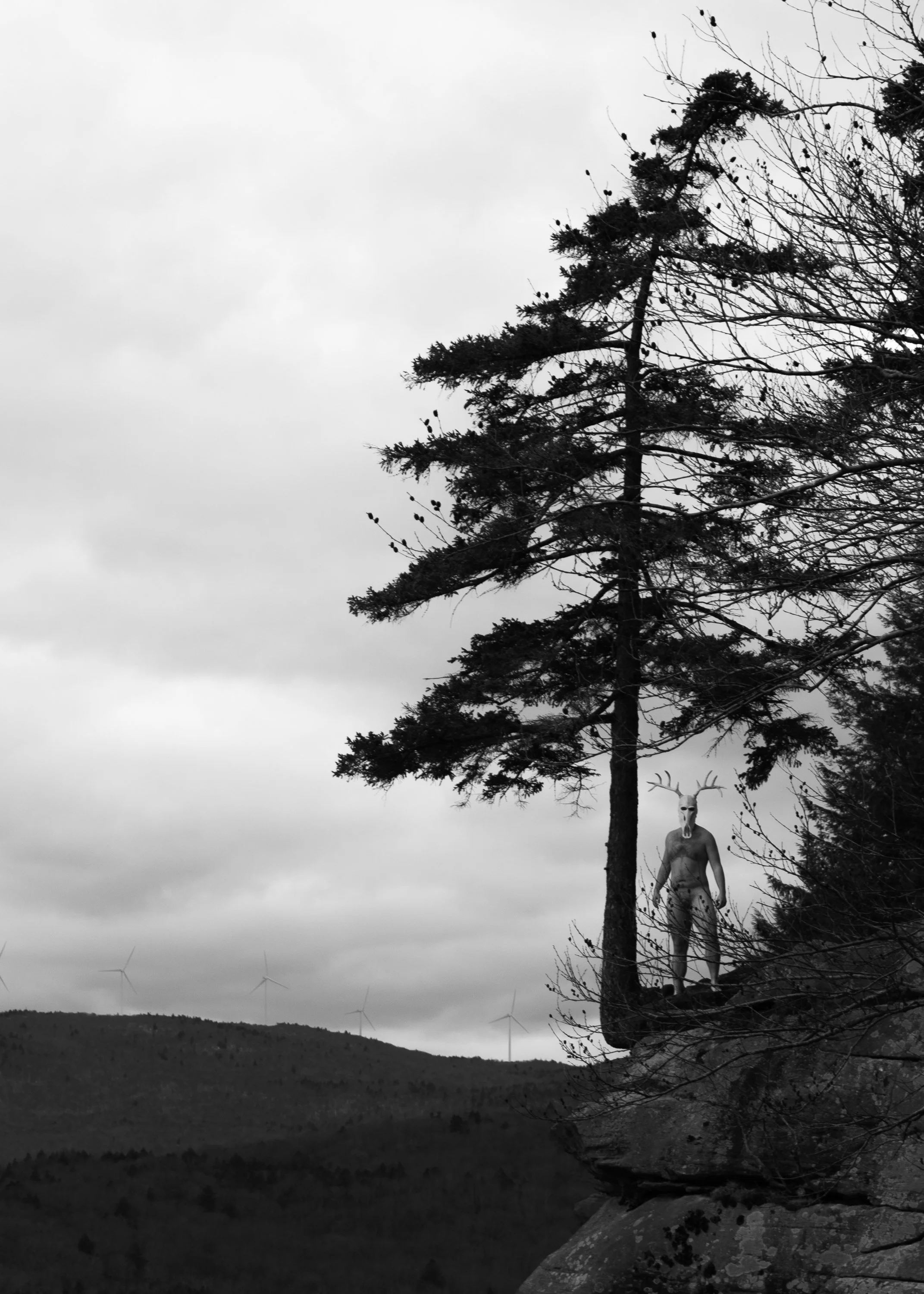 “New England Cryptid #118” — by: Jude Ribisi (Available)
