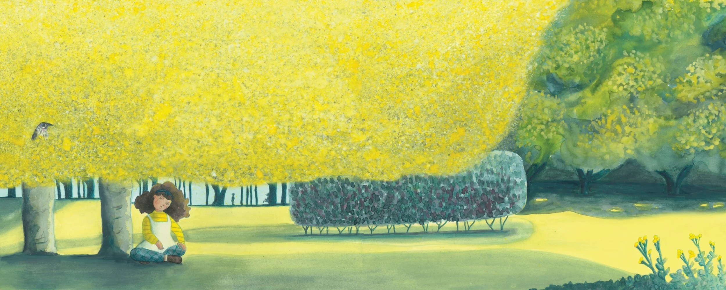 Small_Michelle Mountain_Winter Wattles.jpg