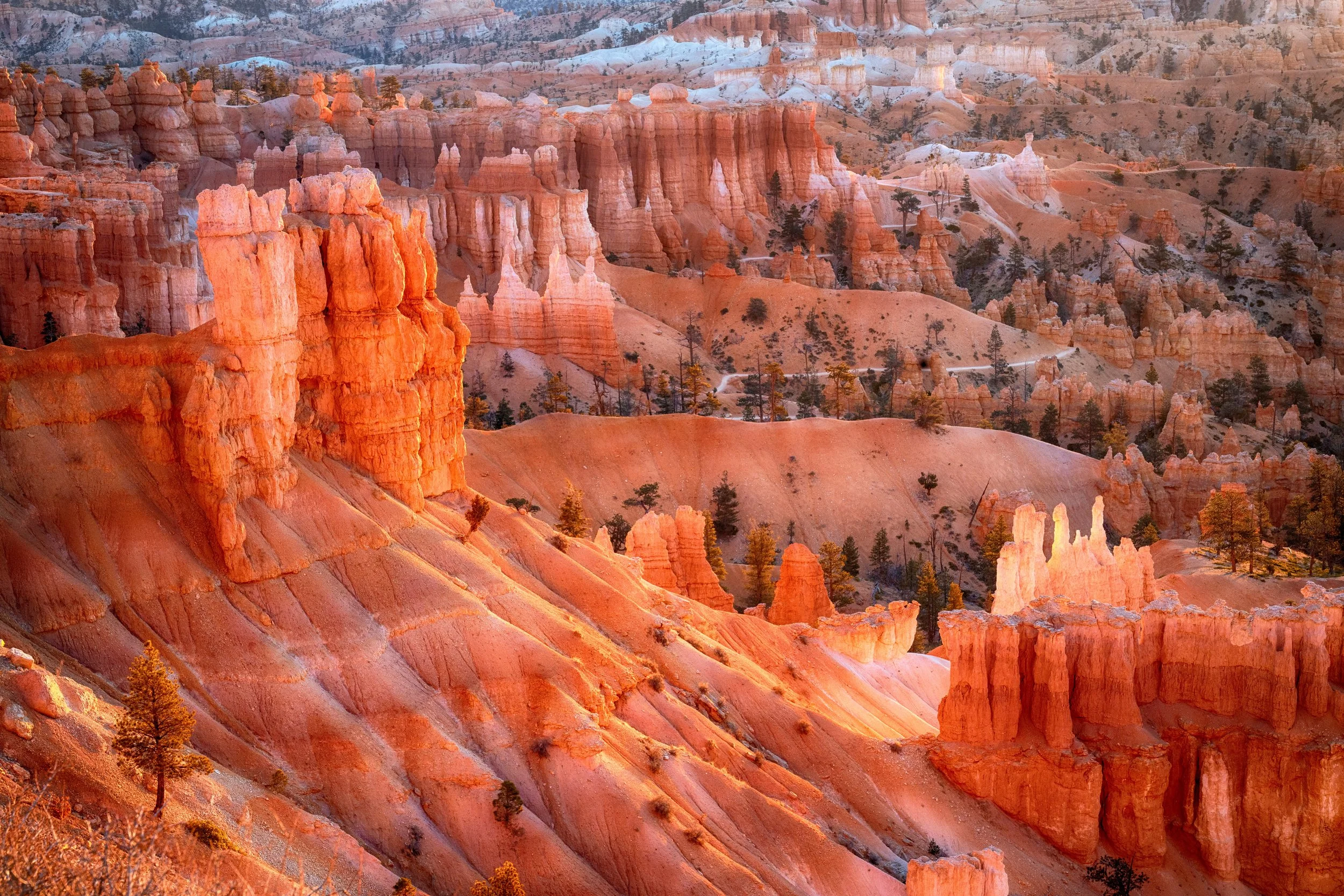Bryce Canyon 17 Resized.jpg