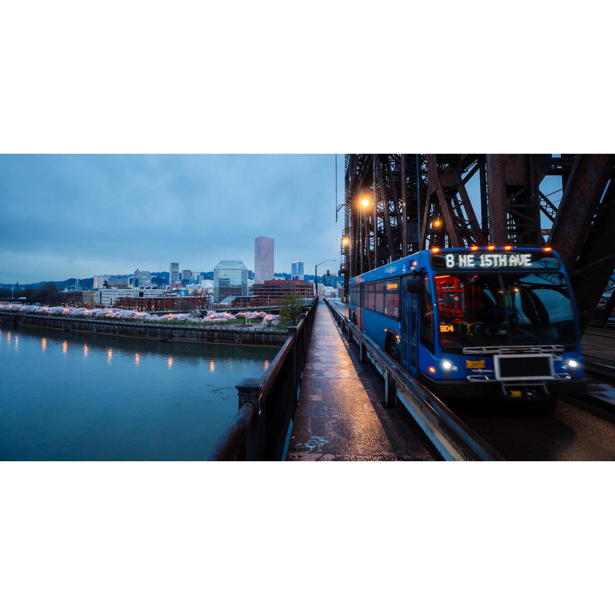 Next Stop: Cherry Blossoms