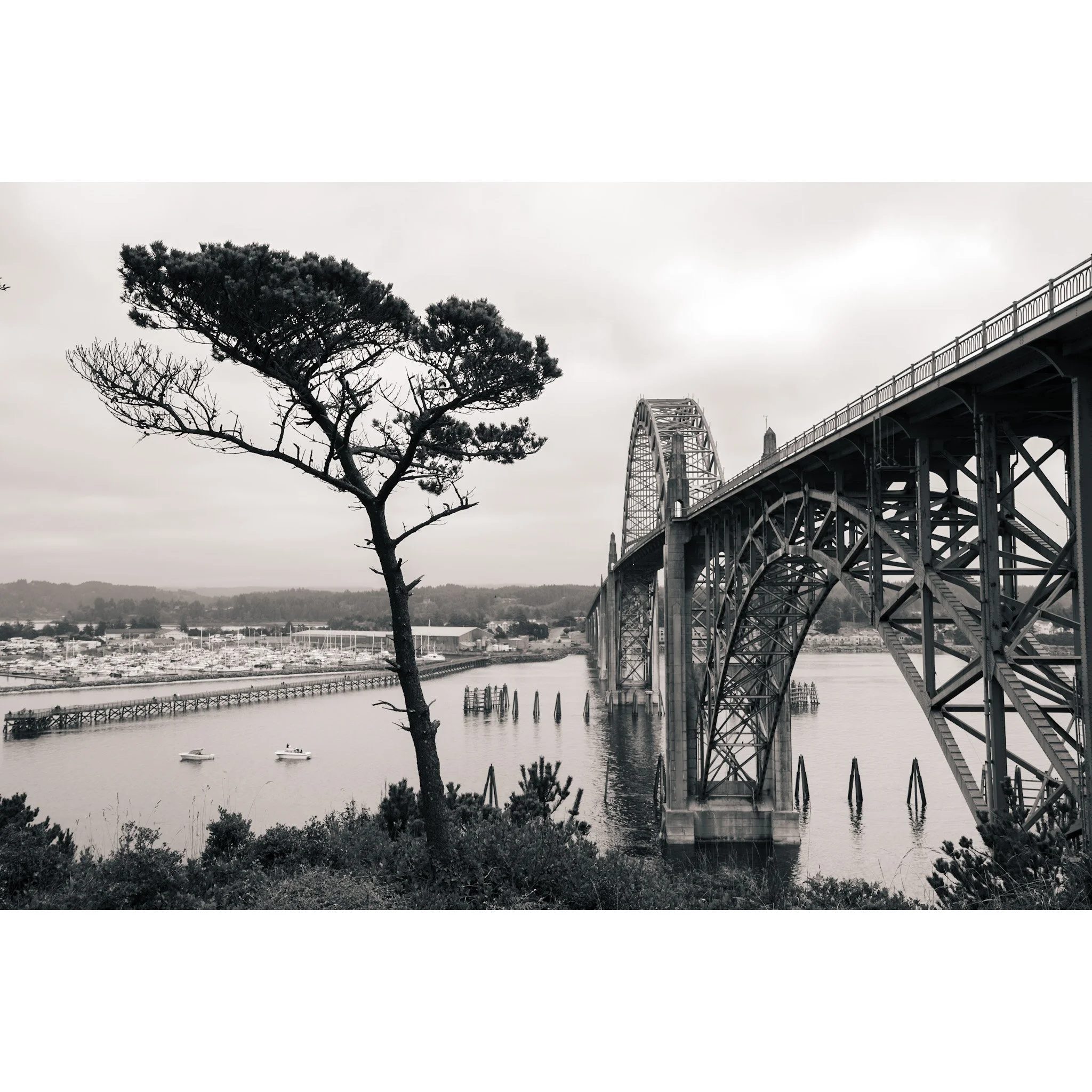 Newport Bridge