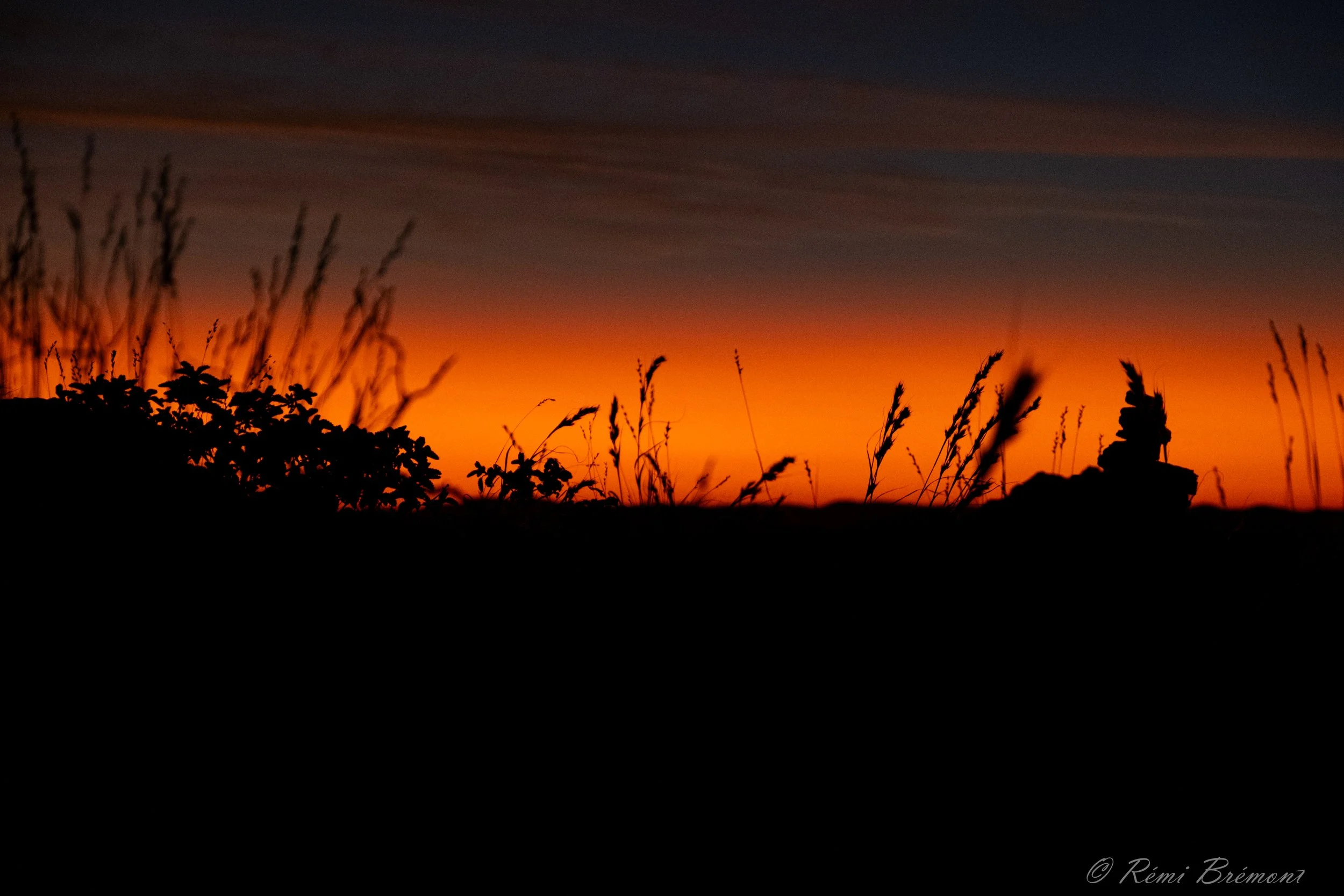 DSCF4728.jpg