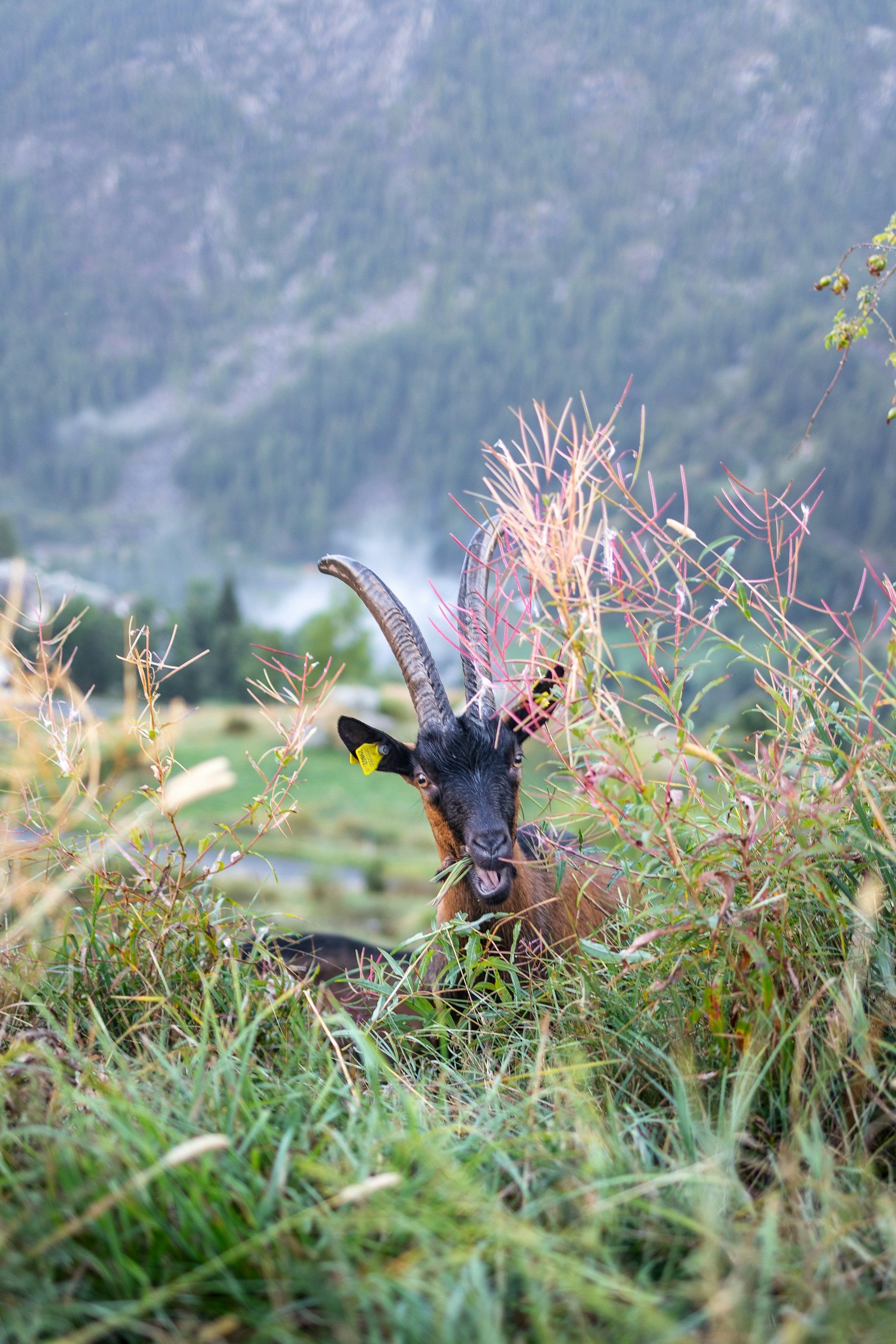 InRetreat-Italian-Alps-Retreat-10.jpg