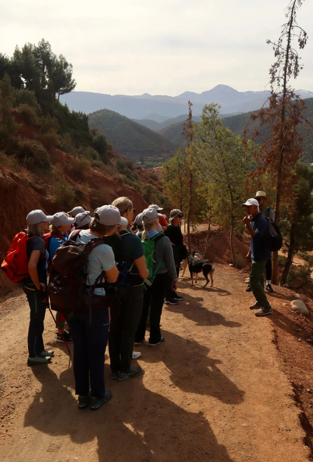 Group of hikers on a guided hike 