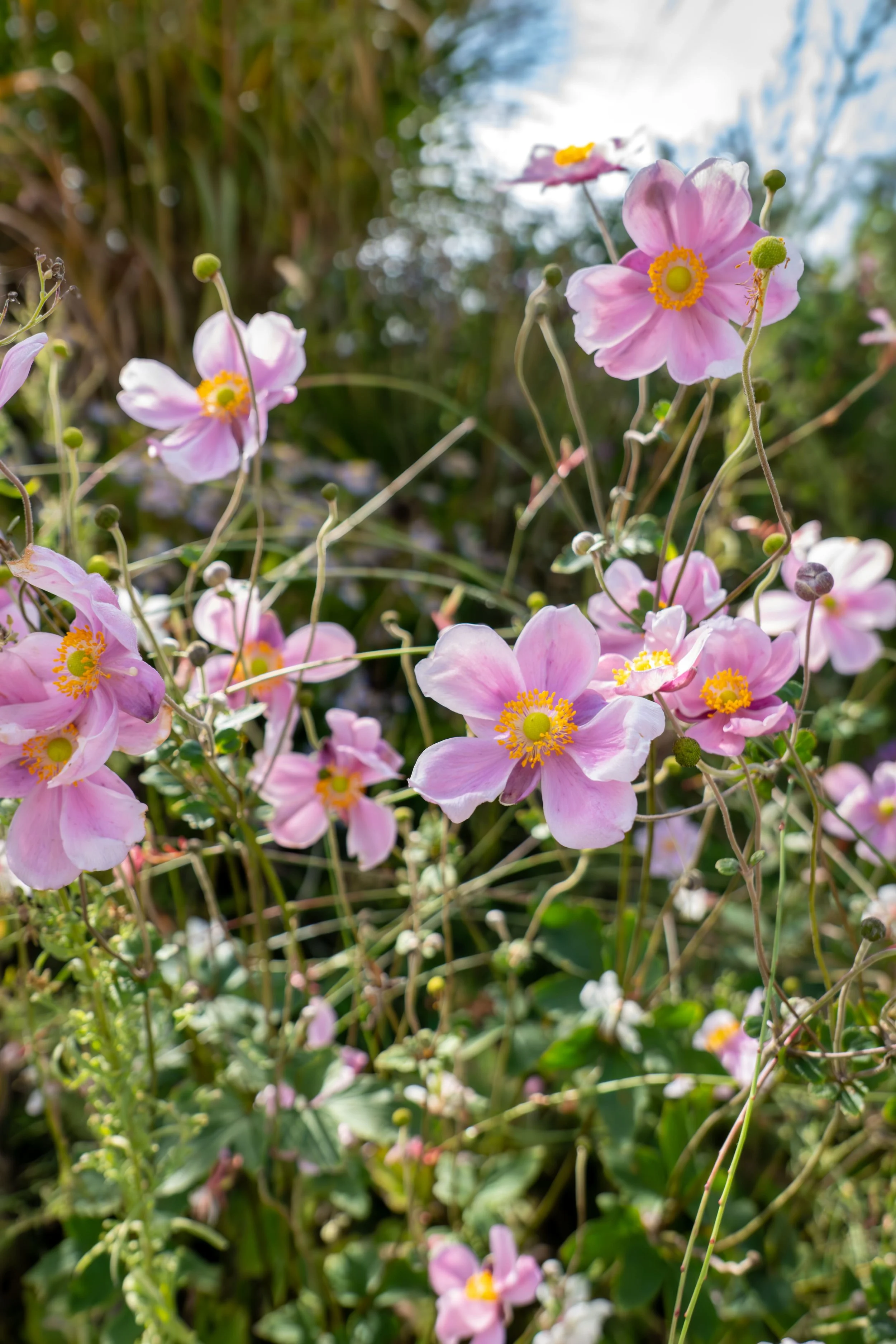 InRetreat-Northern-Italy-Retreat 53.jpg