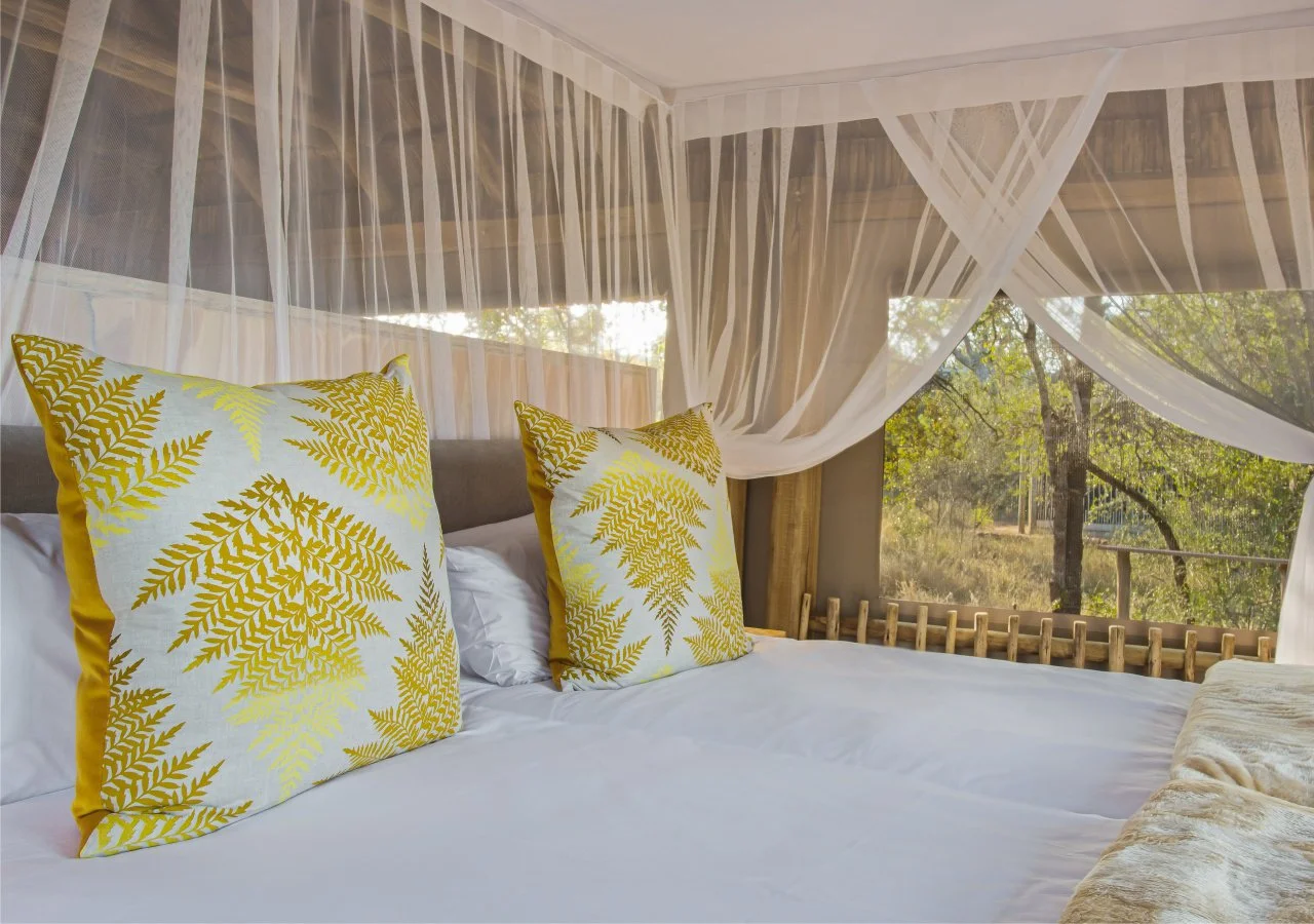 2021-07 Bateleur_Bateleur_Safari_Camp_accommodation14-021.jpg