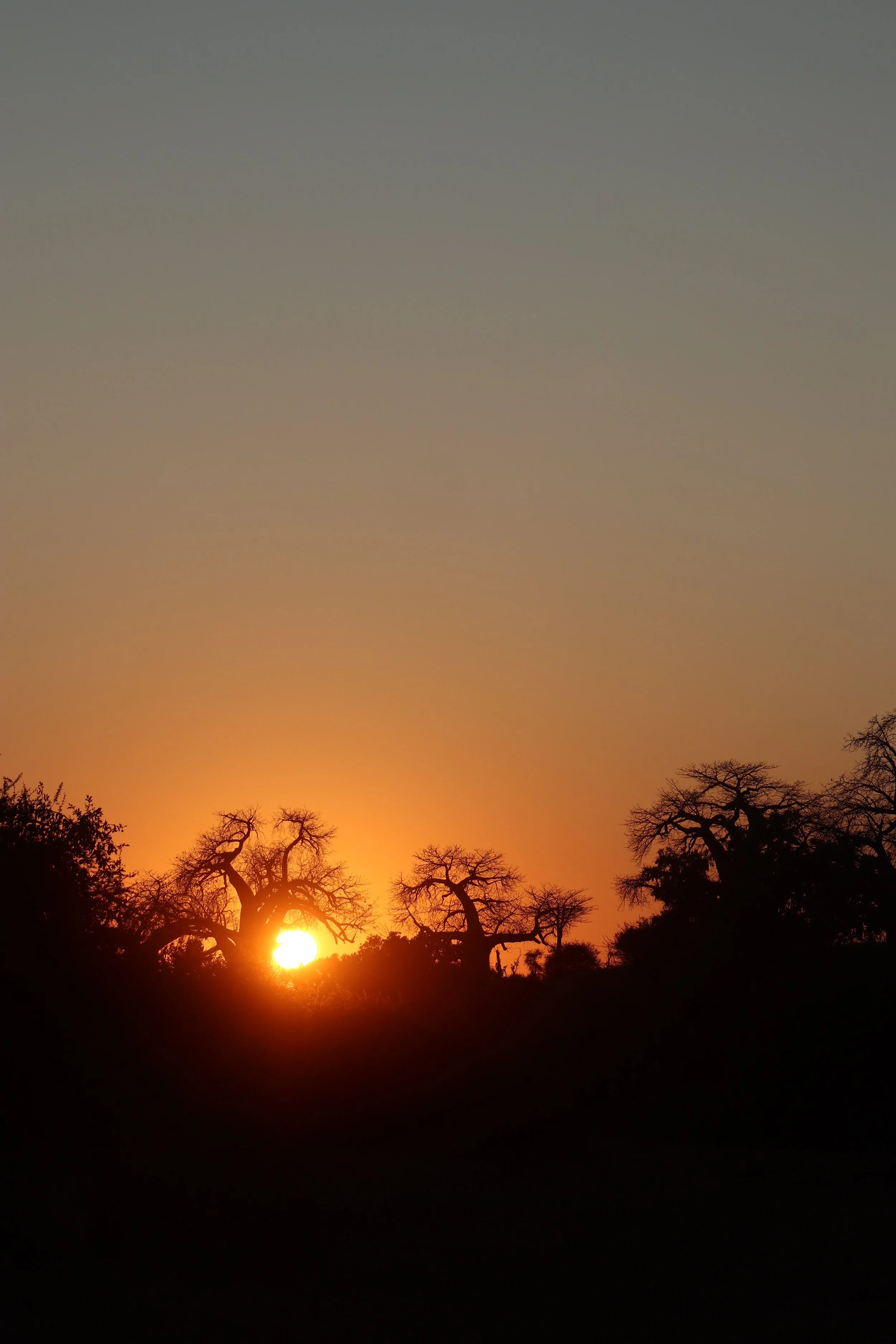 south africa safari InRetreat 4.jpeg