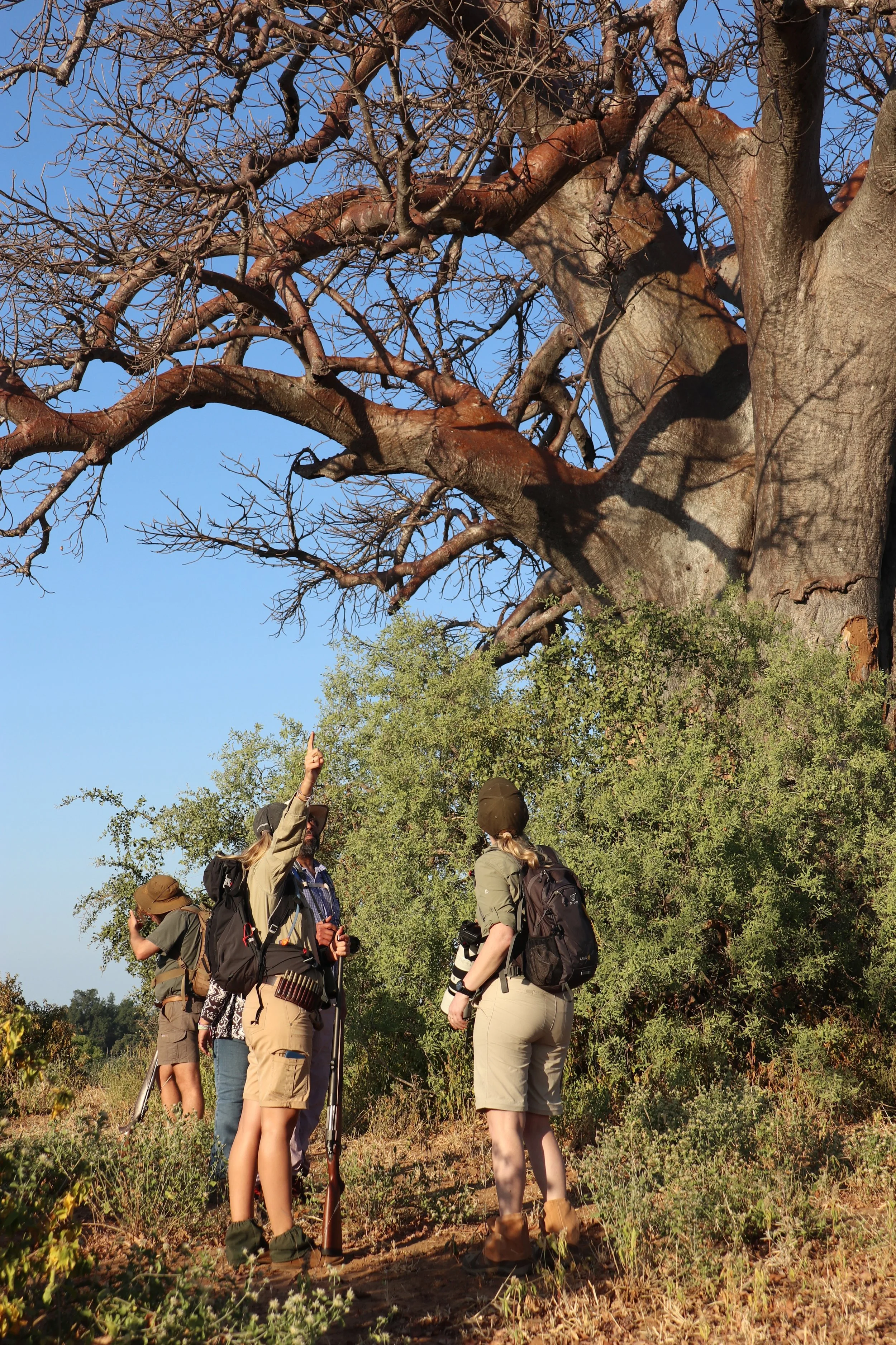 south africa safari InRetreat 5.jpeg