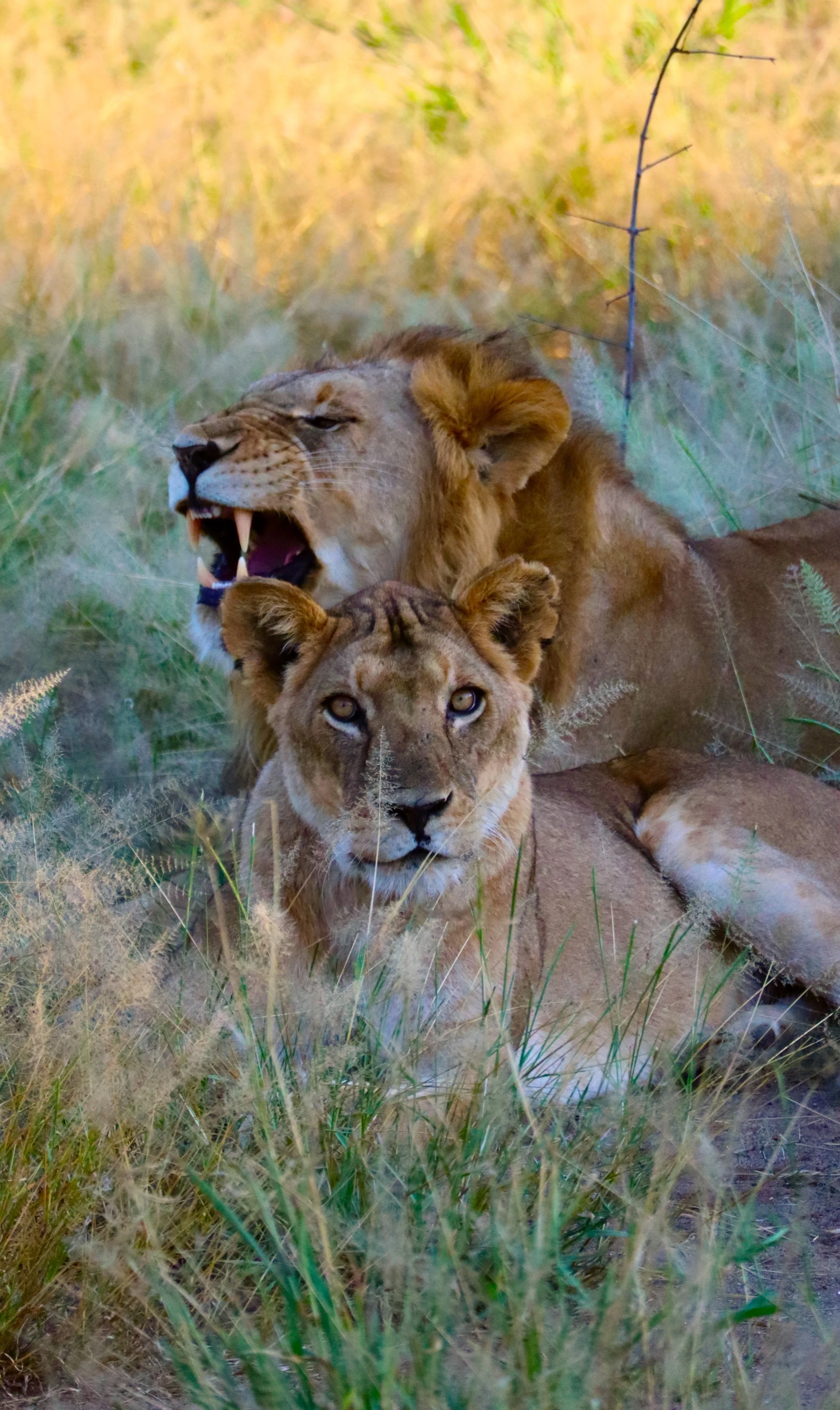 Rift Valley Kenya InRetreat 70.jpeg