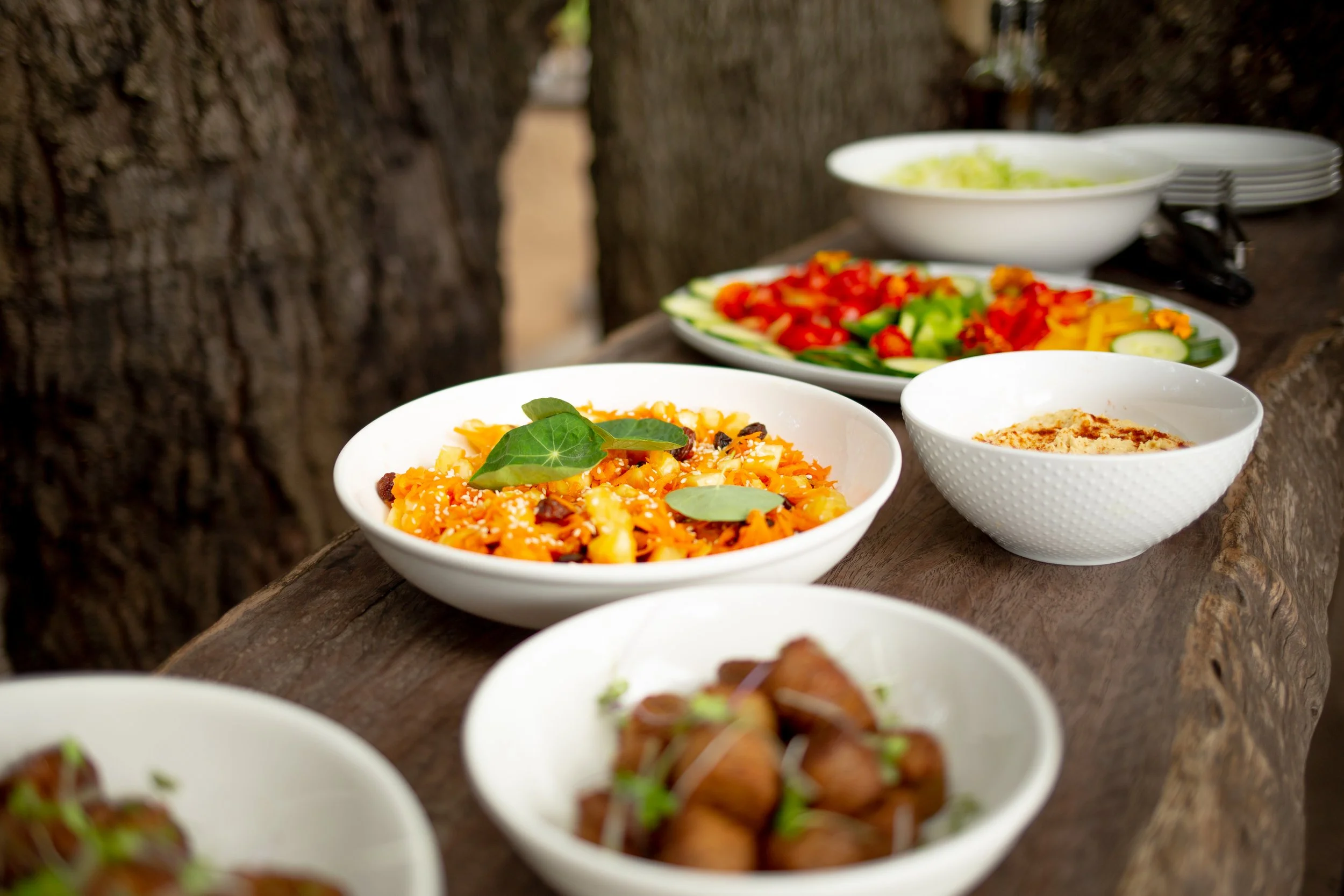 2022-02 Bateleur_20220218-4M1B7768.jpg