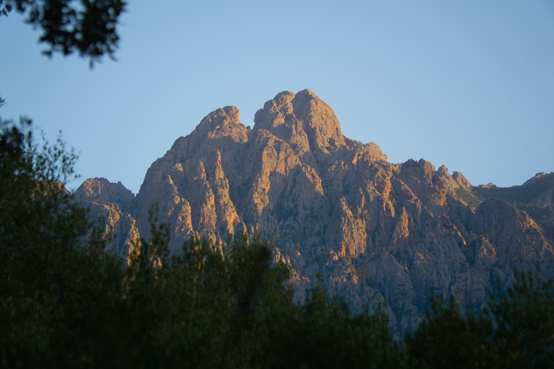 corisca-yoga-retreat-6.jpeg
