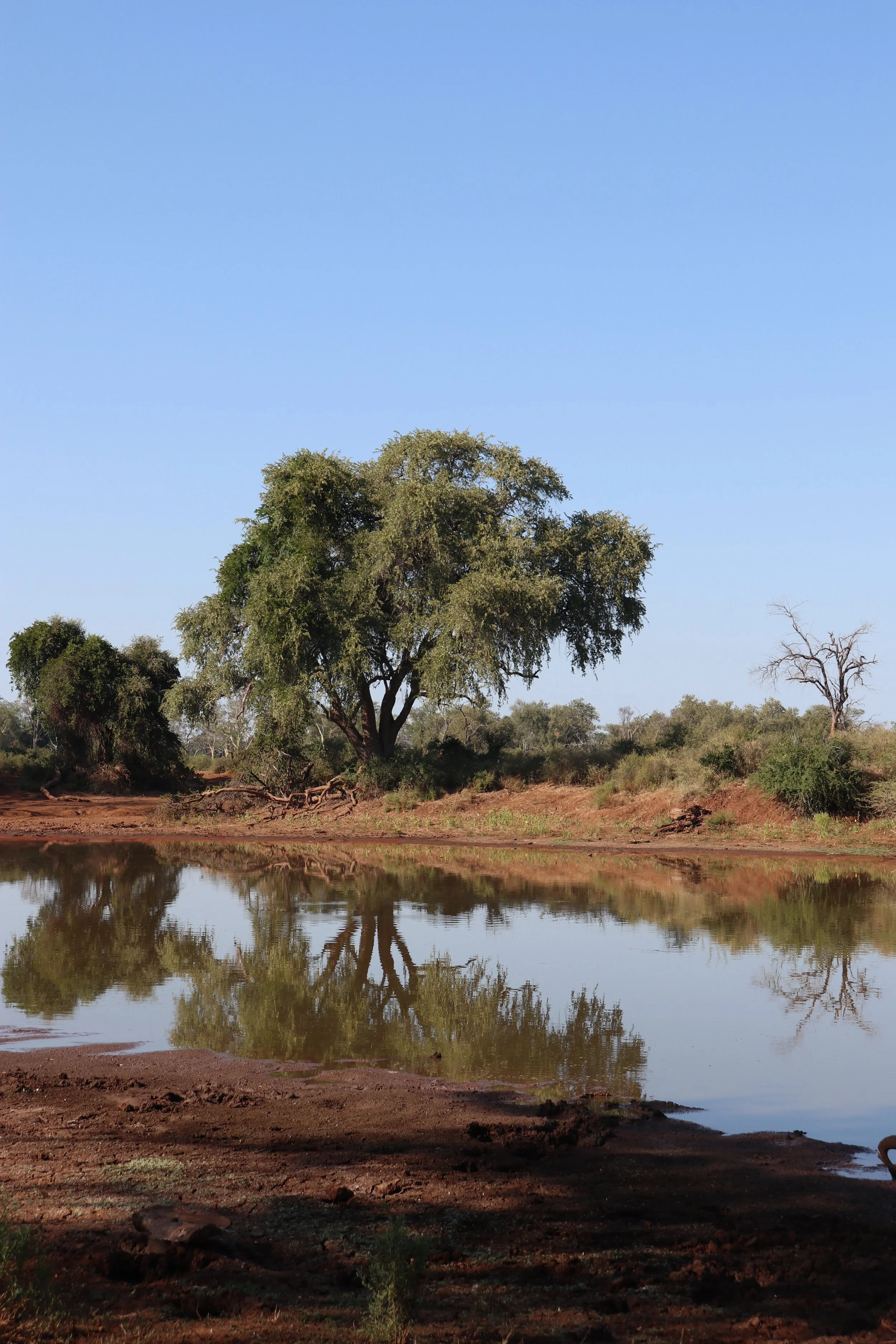 south africa safari InRetreat 8.jpeg