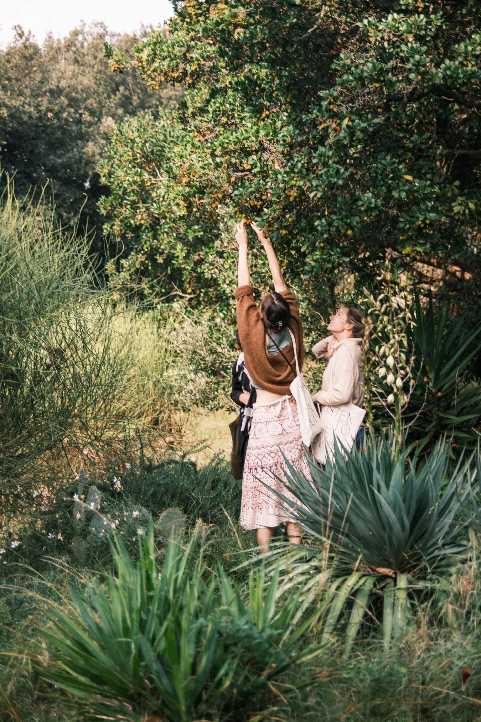 Autumn Tuscany Retreat InRetreat