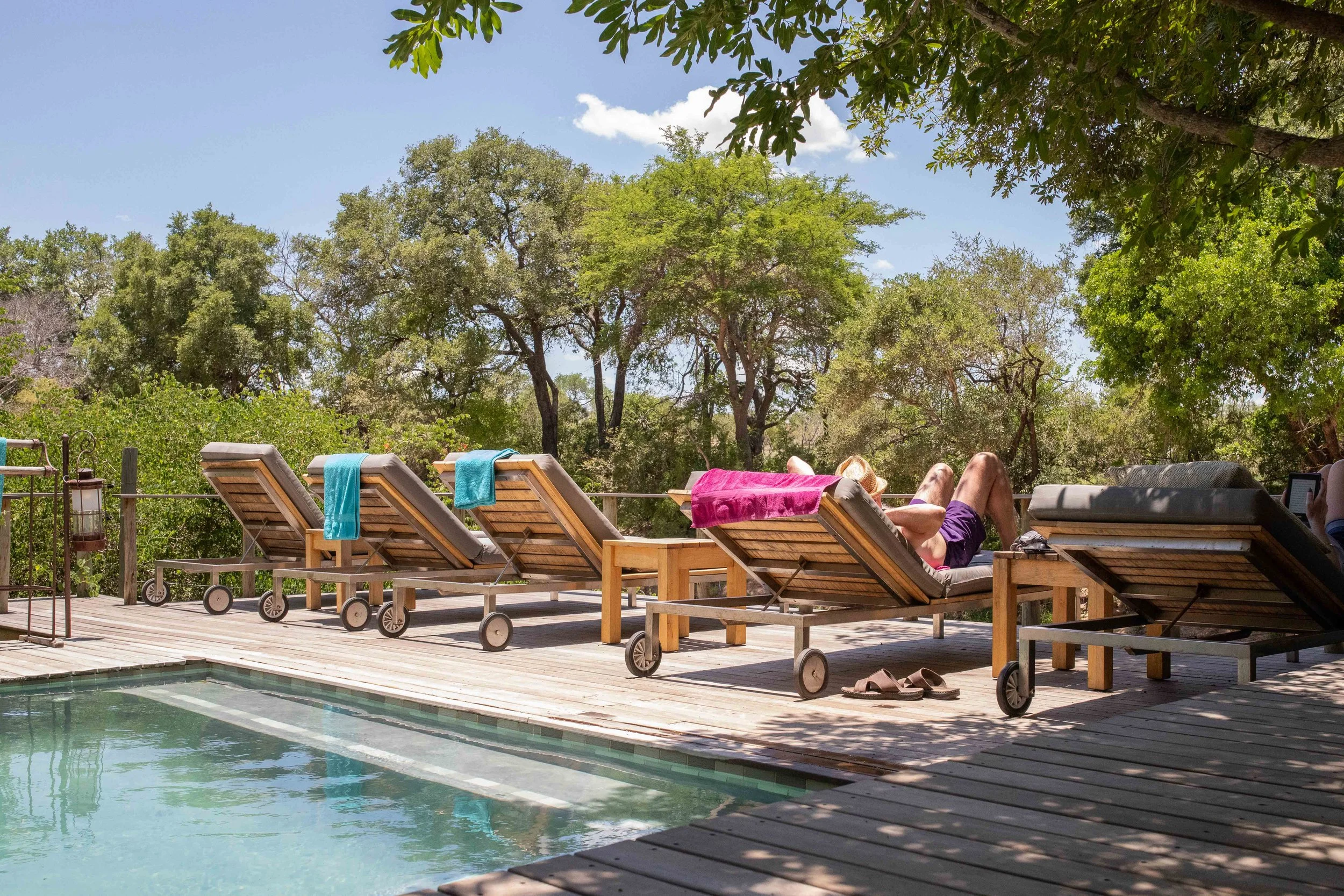 2021-07 Bateleur__T3A5149-046.jpg