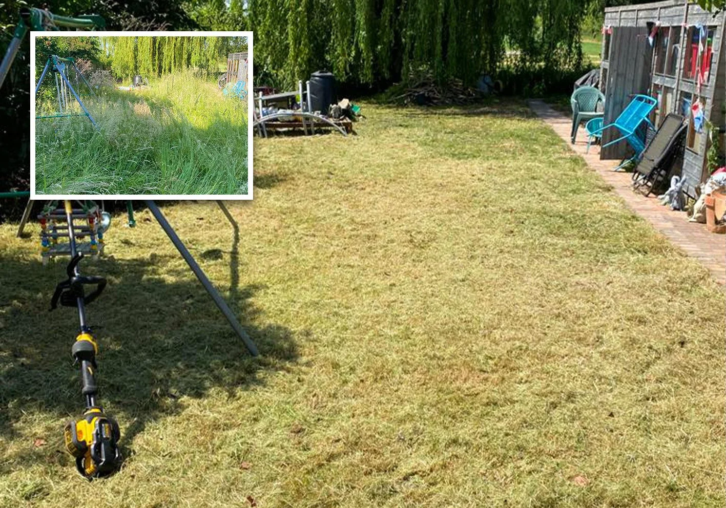 grass.jpg