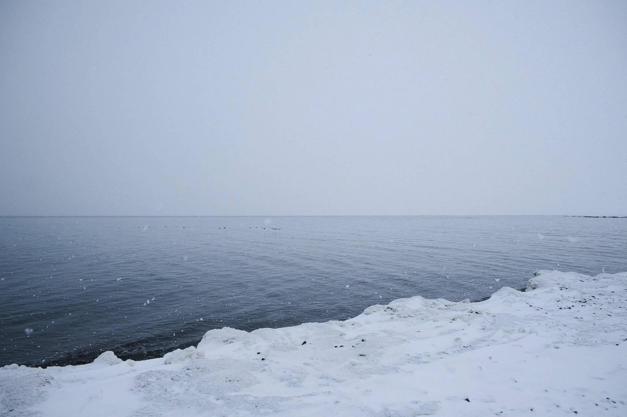 tew-lyr-snow-walk-7.jpg