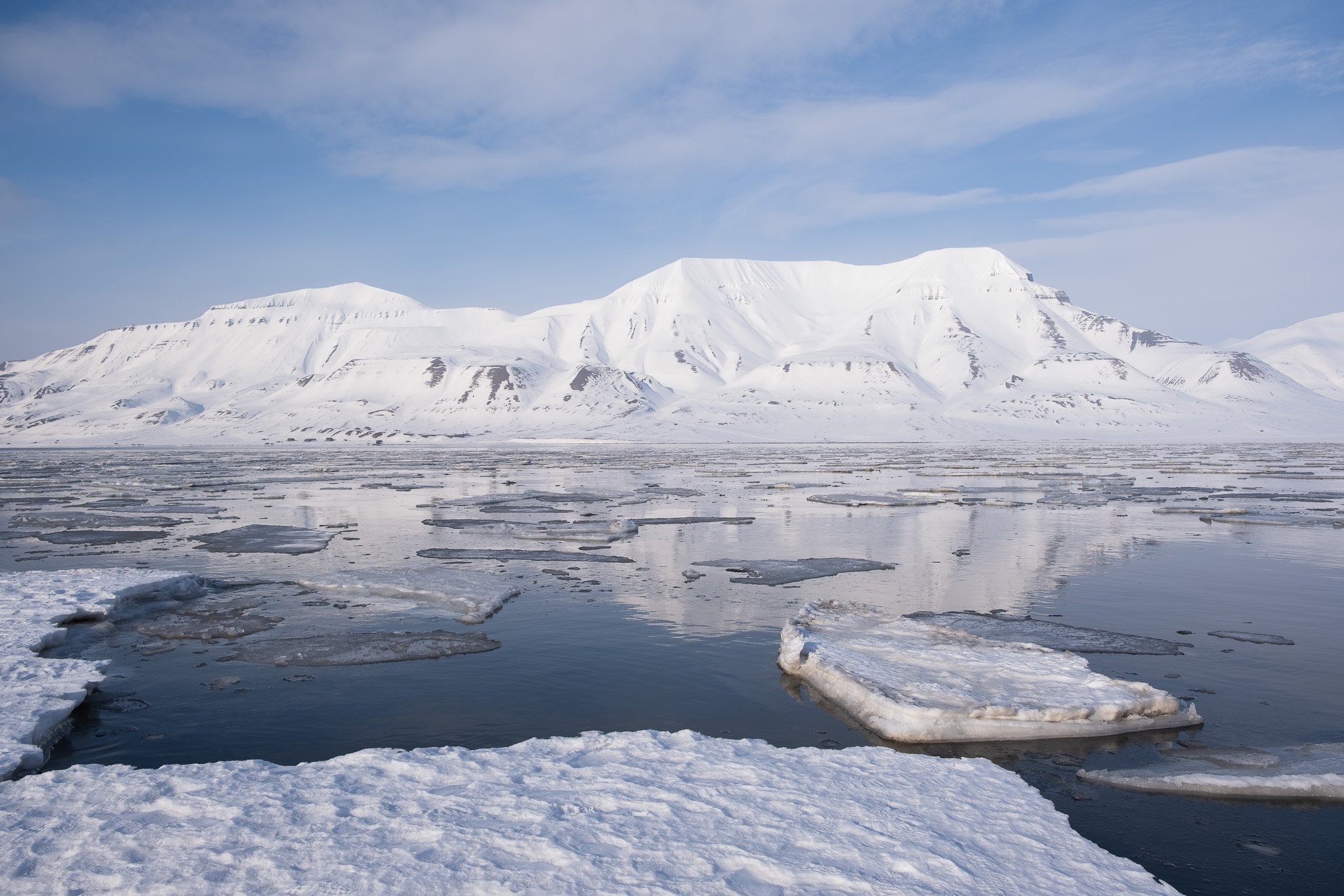 tew-lyr-c-fjord-1.jpg