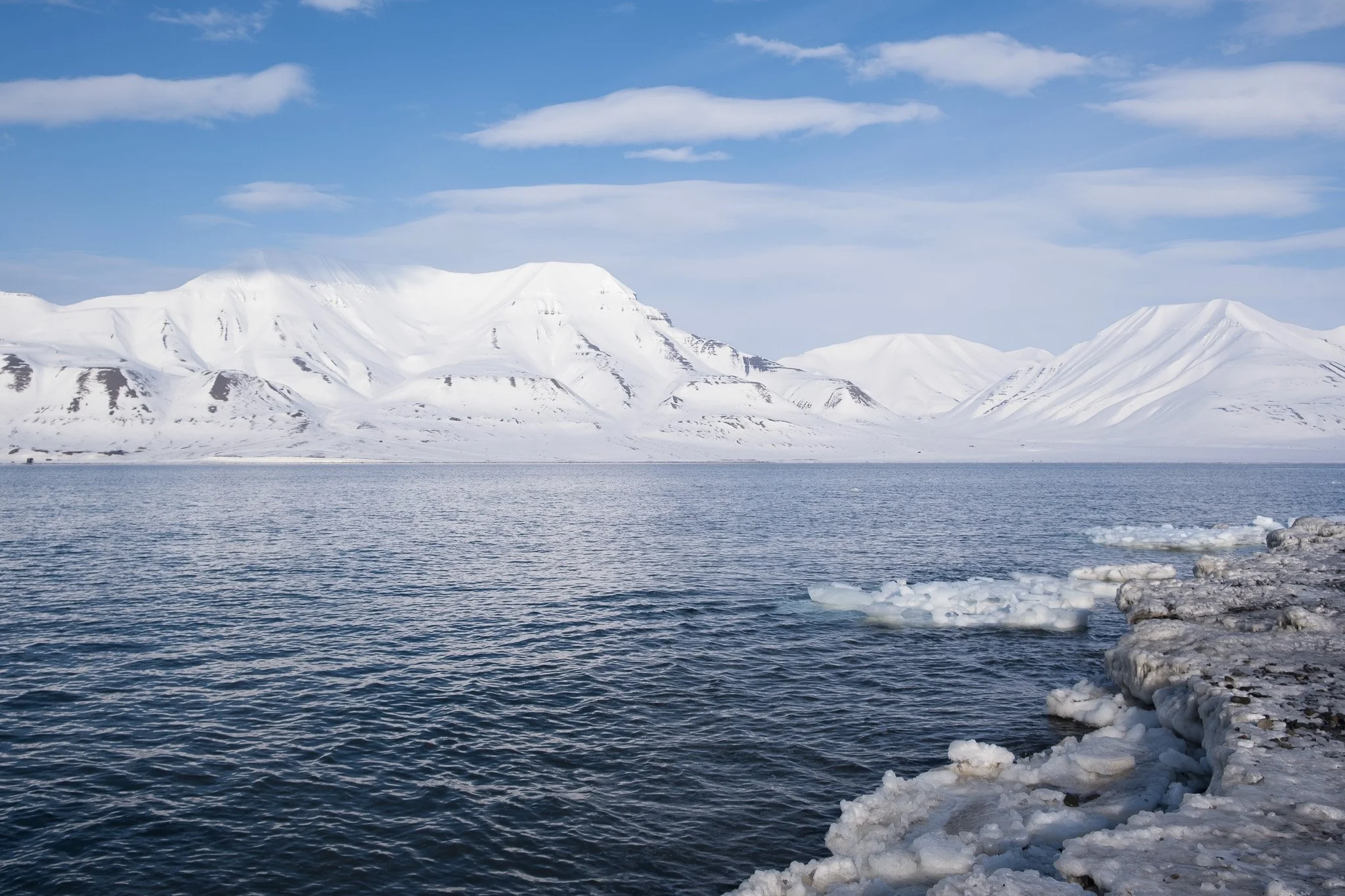 tew-lyr-f-fjord-1.jpg