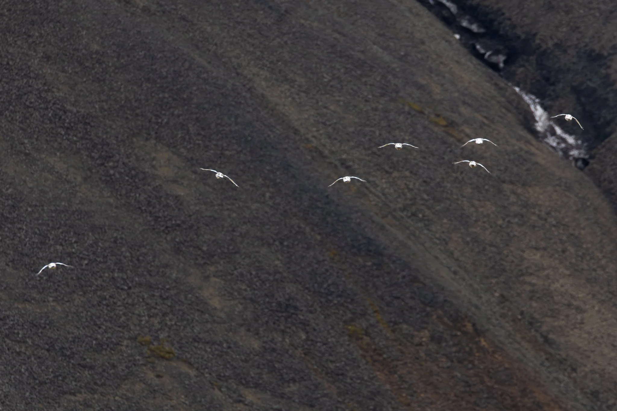 tew-lyr-bjorndalen-9.jpg
