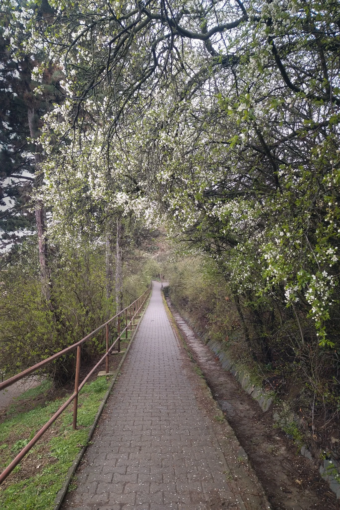 hill-walks-post-8.jpg