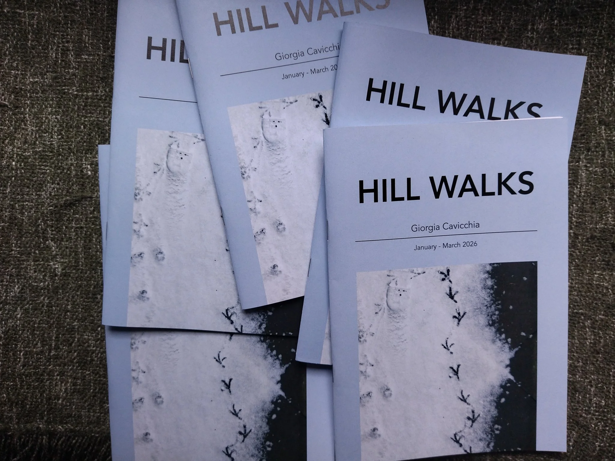 Hill Walks: A local creative project