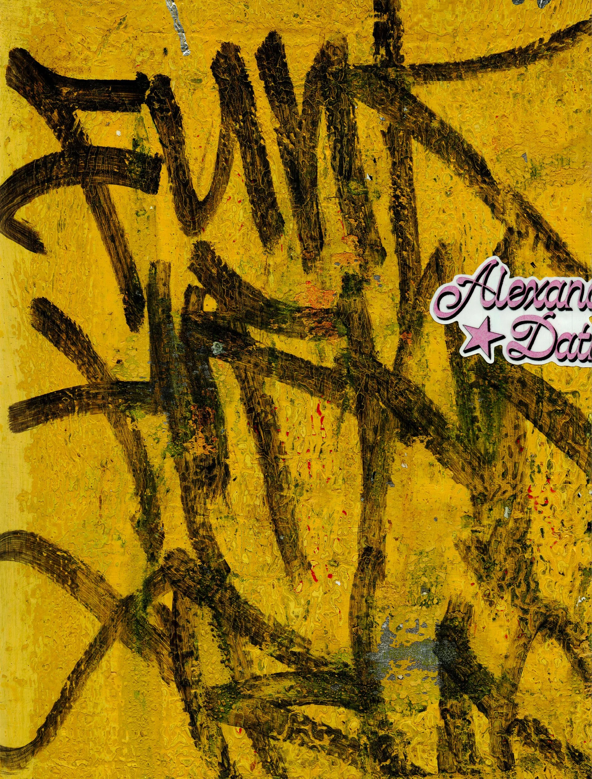 Mitchell Sturm - 20110101, Paris France 110.jpg