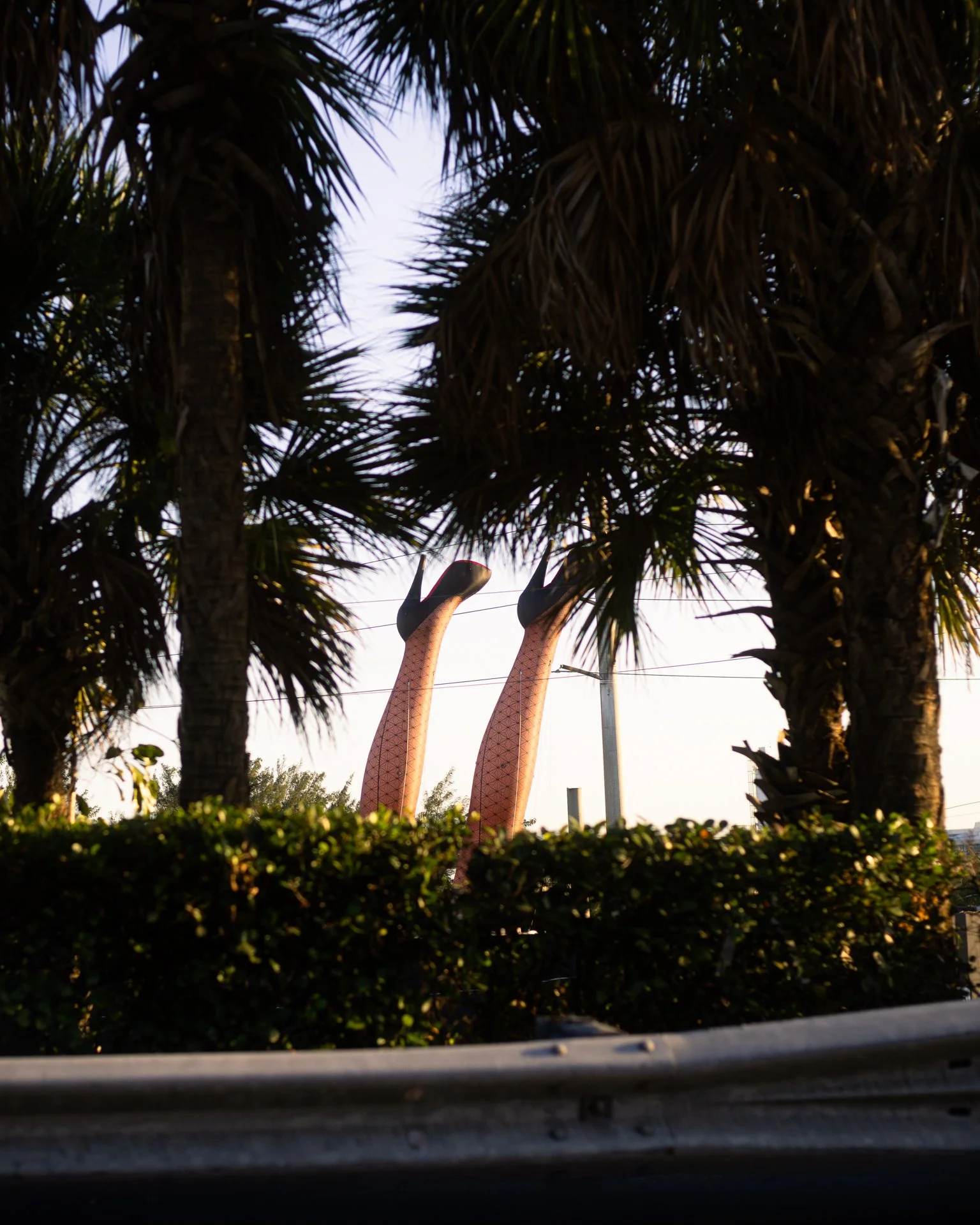 Mitchell Sturm - 20230107, Miami USA 185-Enhanced-NR.jpg