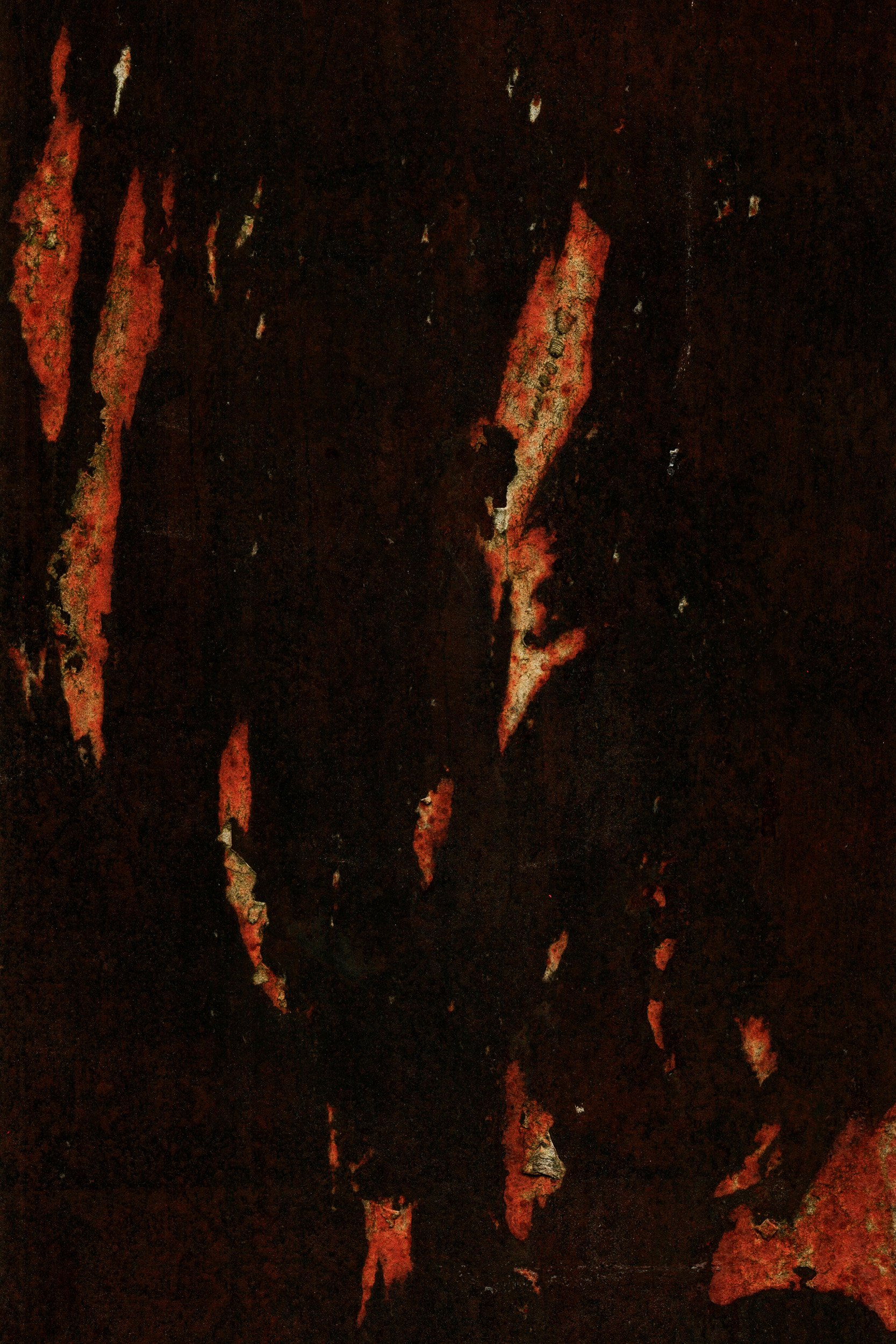 Mitchell Sturm - 20250406, Paris France 82.jpg