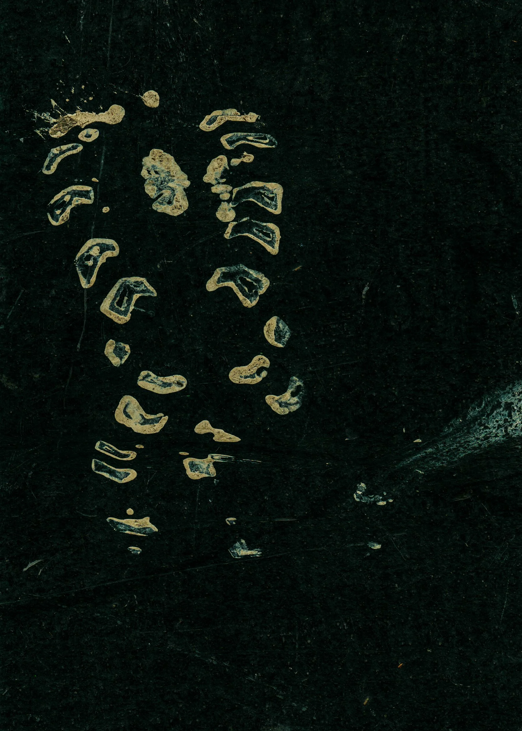 Mitchell Sturm -20240614, Scan, France 2024 115.jpg